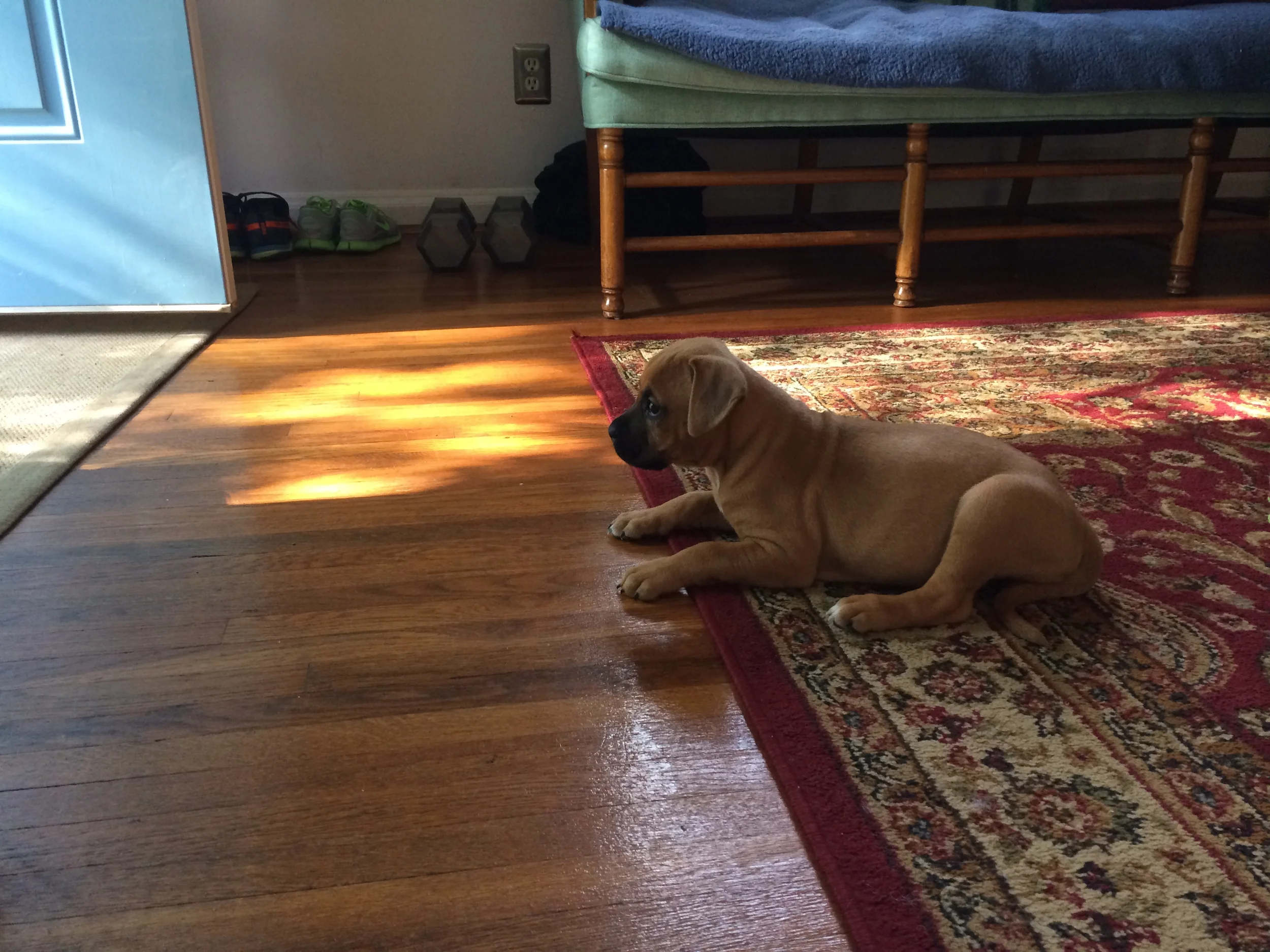 Maisy Mae