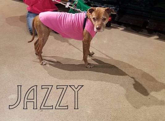 Jazzy Jane