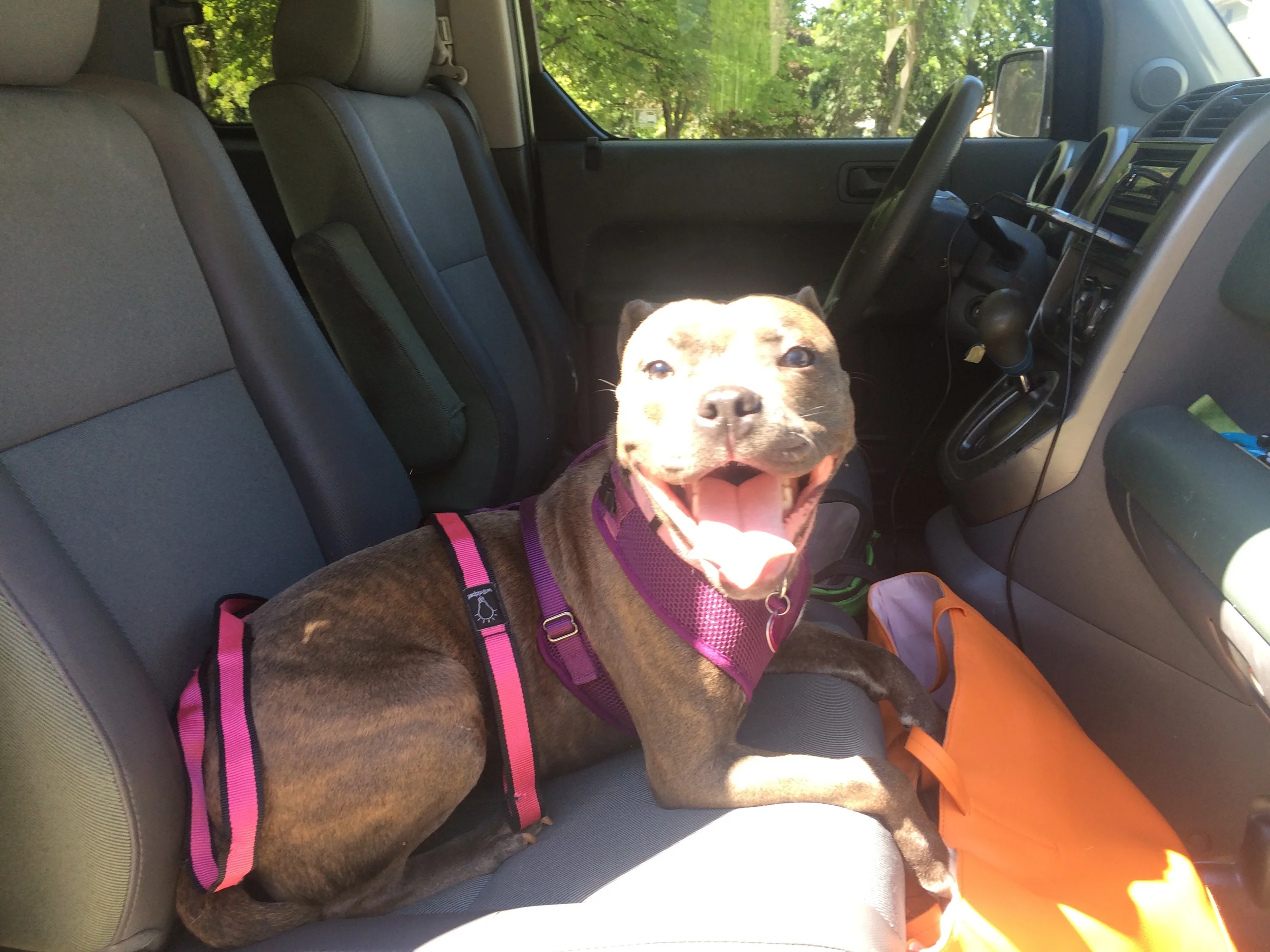 Suzie is my copilot!