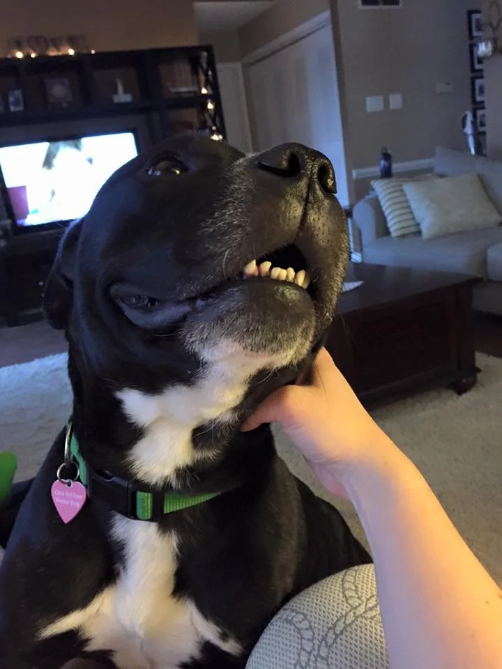 Tyson (8).jpg
