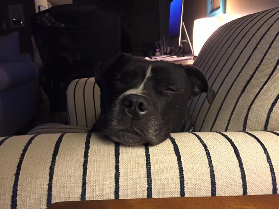 Tyson (15).jpg