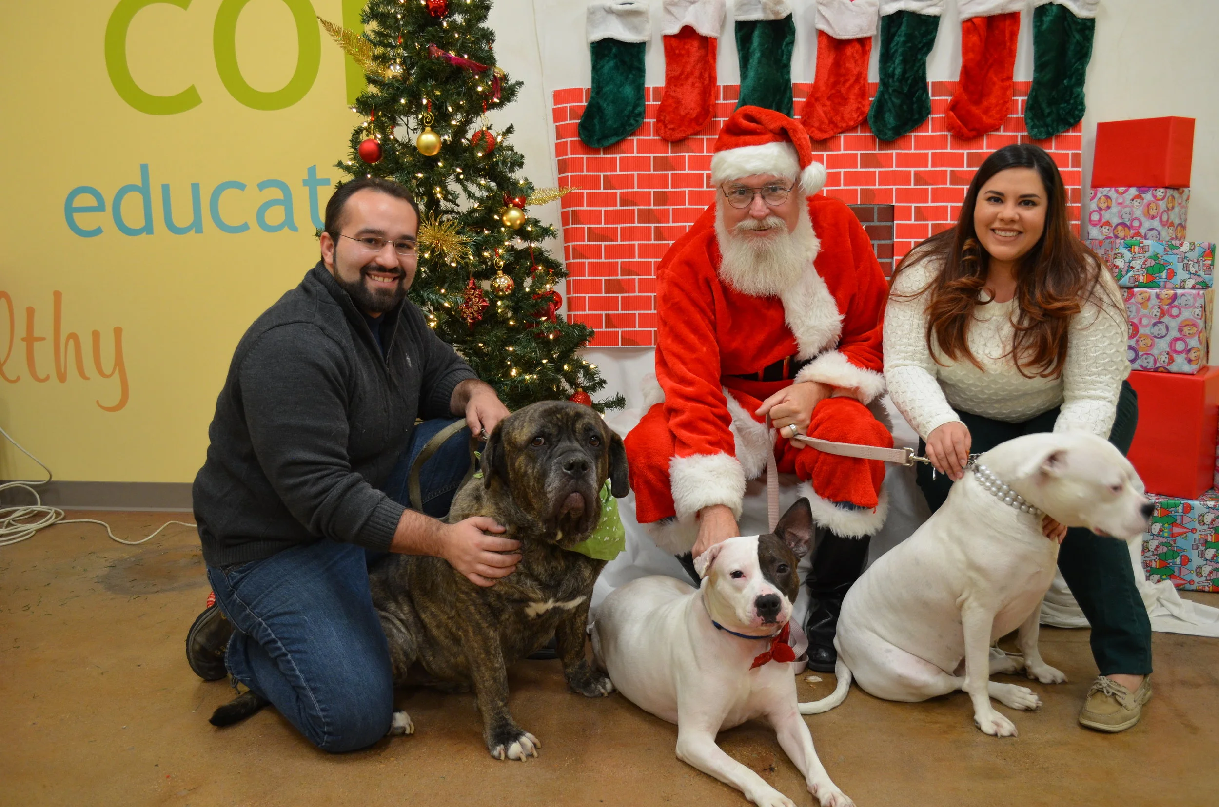 Bruno Ruby and Diamond take 2.JPG