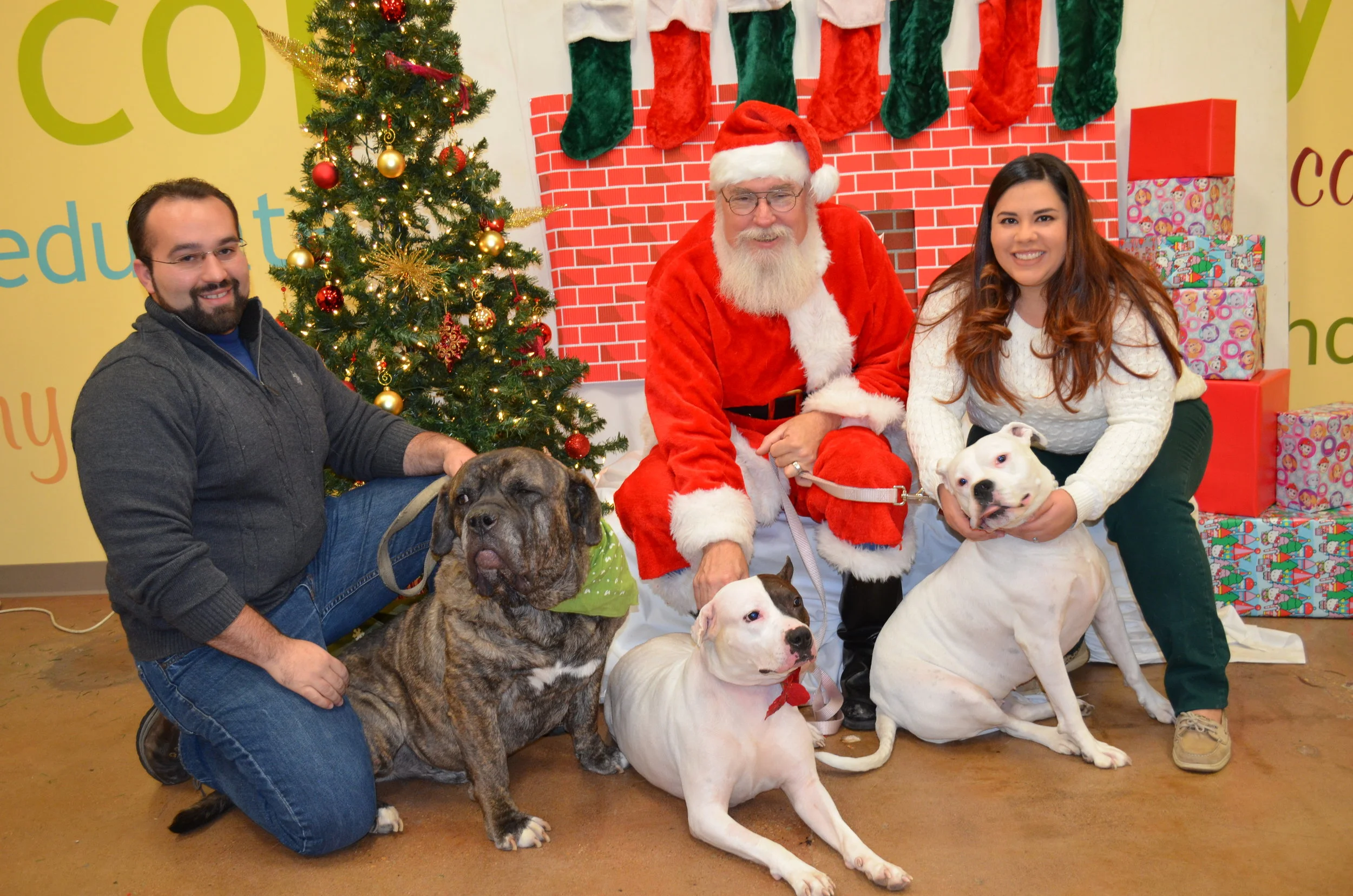 Bruno Ruby and Diamond.JPG