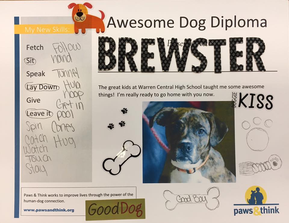 Brewster Paws and Think diploma.jpg