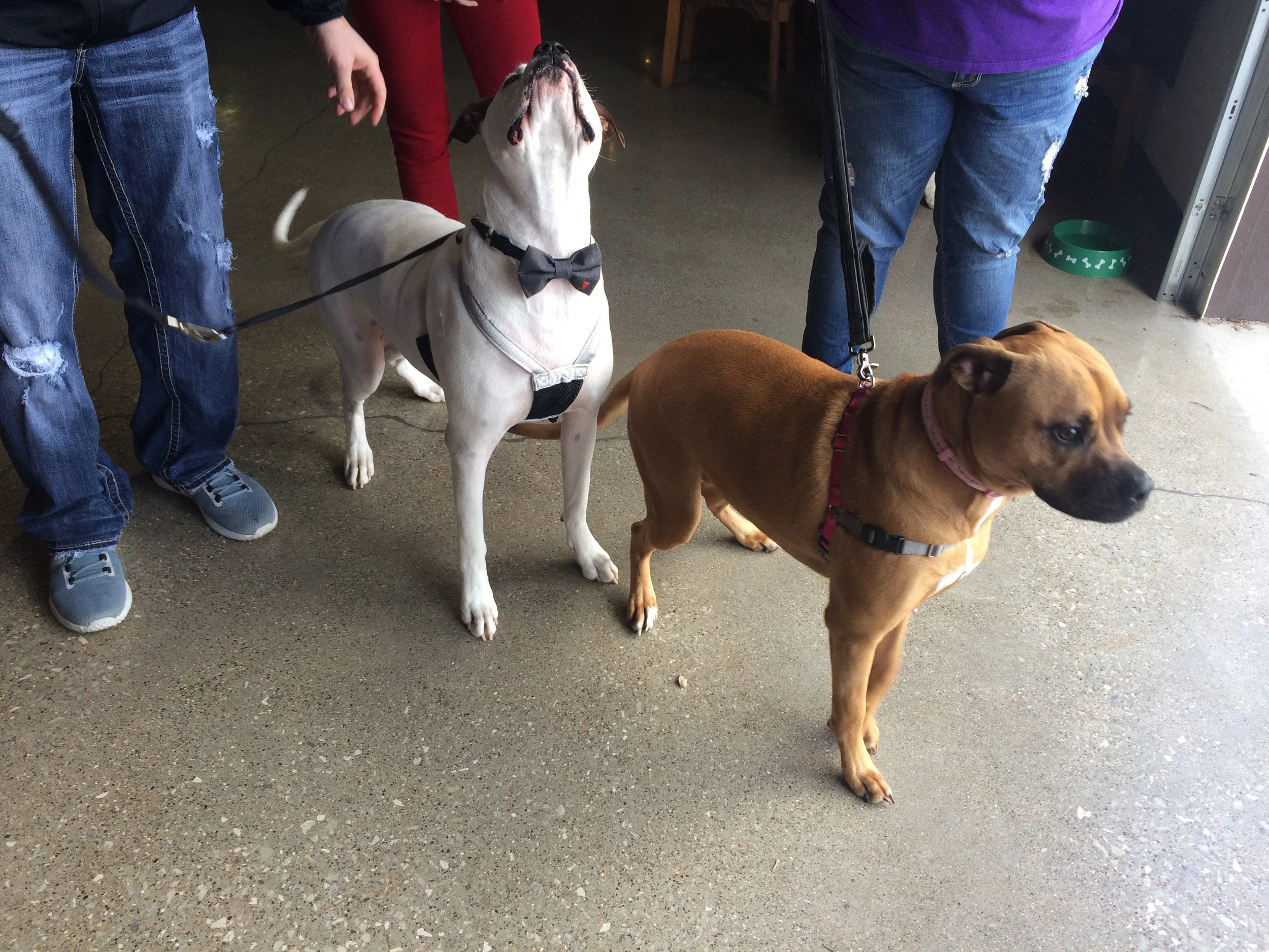 Alumni siblings Cash & Zelda
