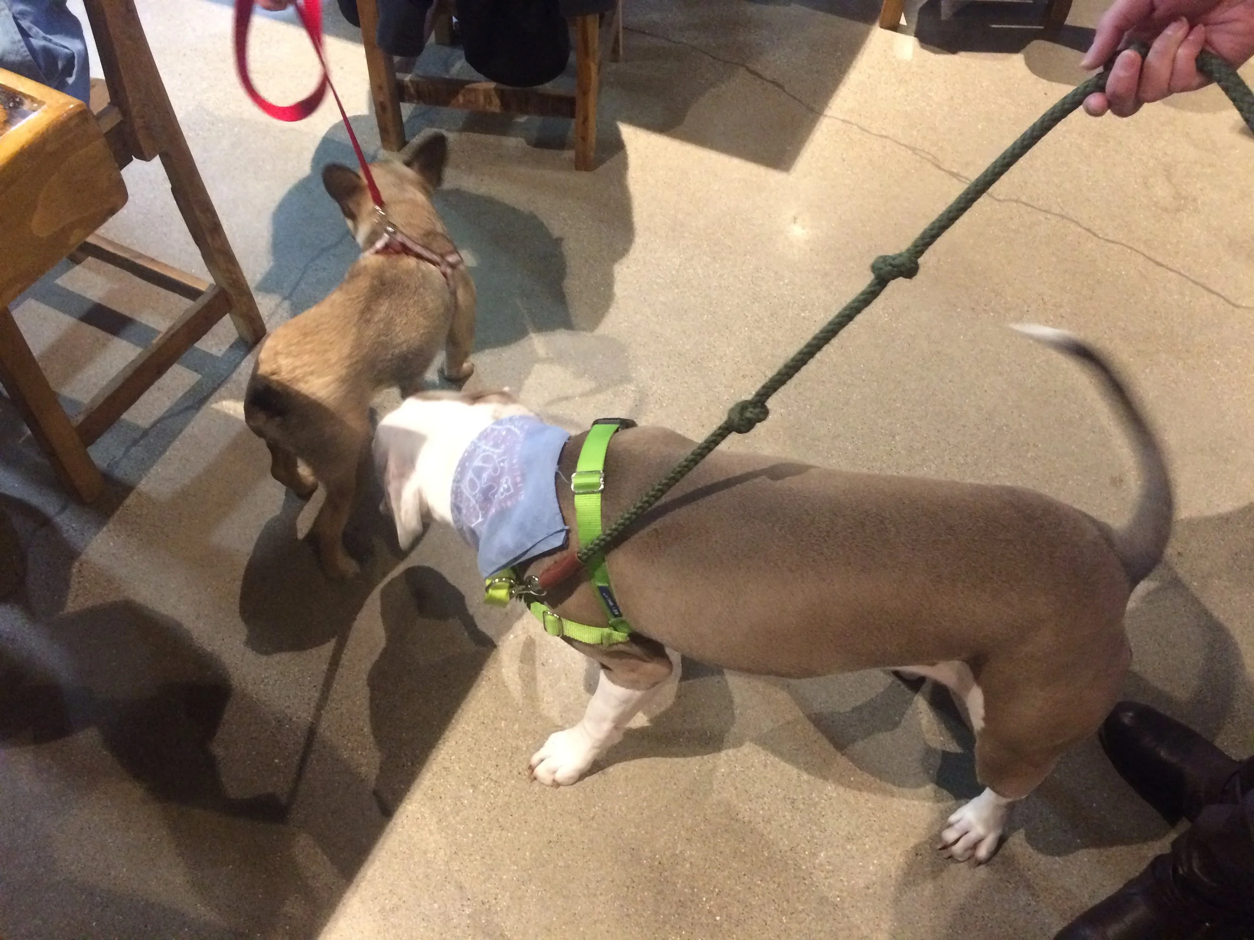 Alumni Teek meeting Otis