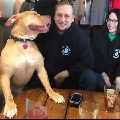 Alumni Dory and her forever family