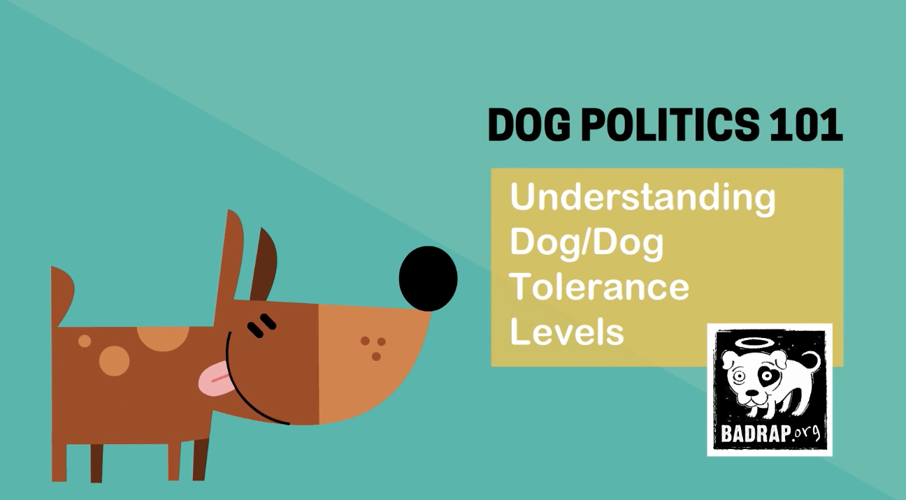 The more you know