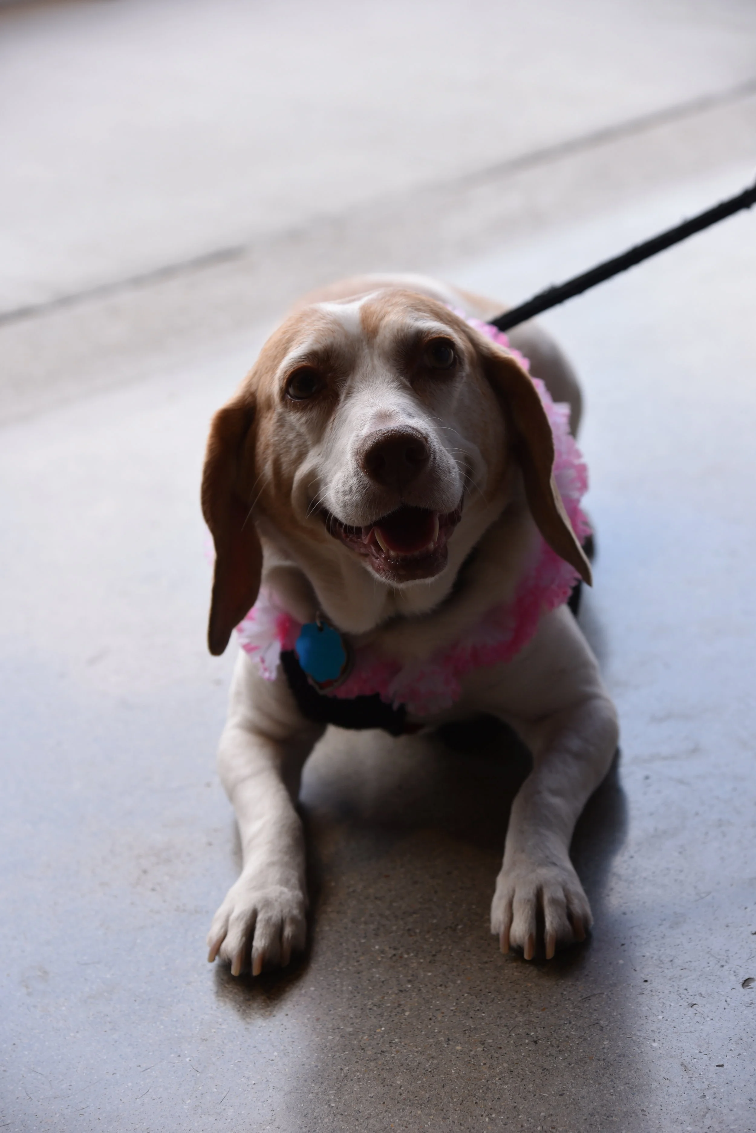 DSC_0247.JPG