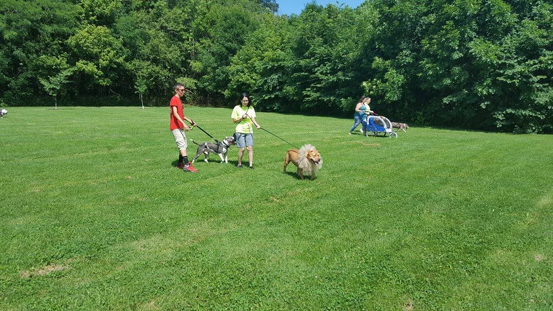 Pack walk