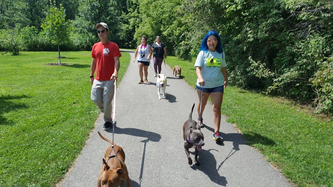 Pack walk
