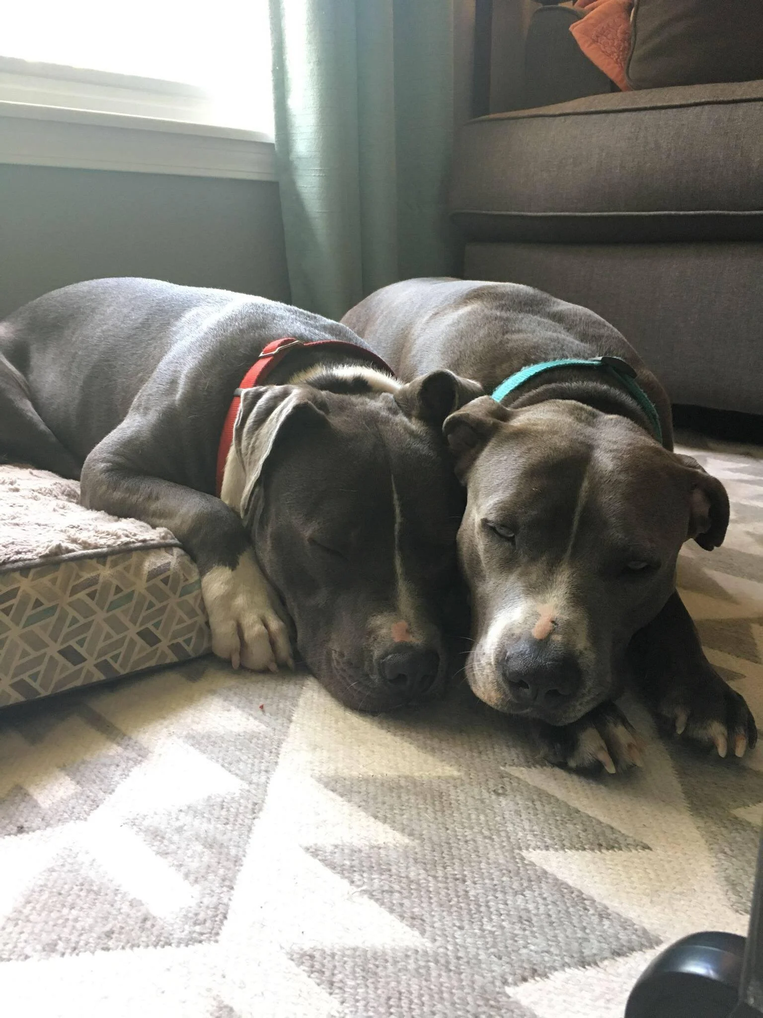 Martin with Jasmine 9.2.17.jpeg