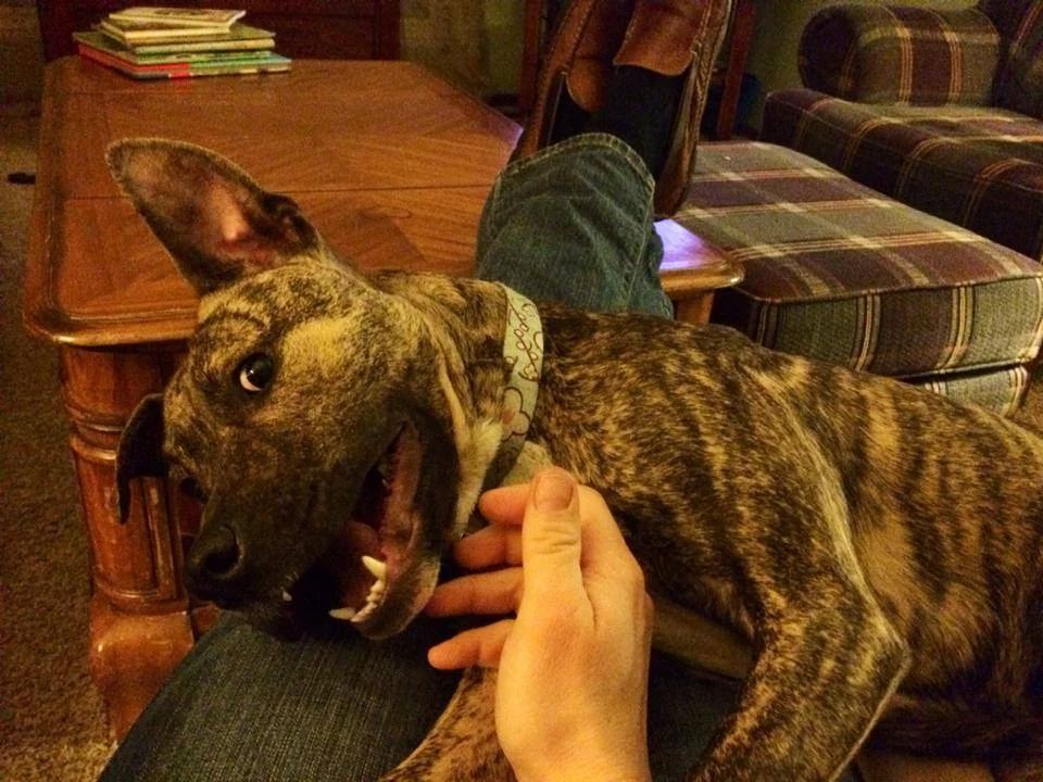 Silly face