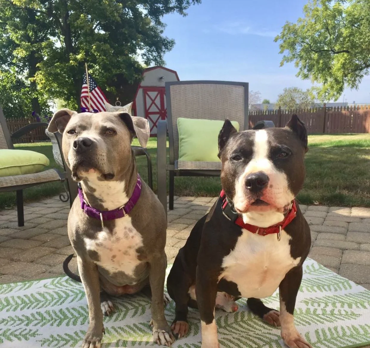 Alumni Lyric Blue & Bishop ~ Labor Day 2017