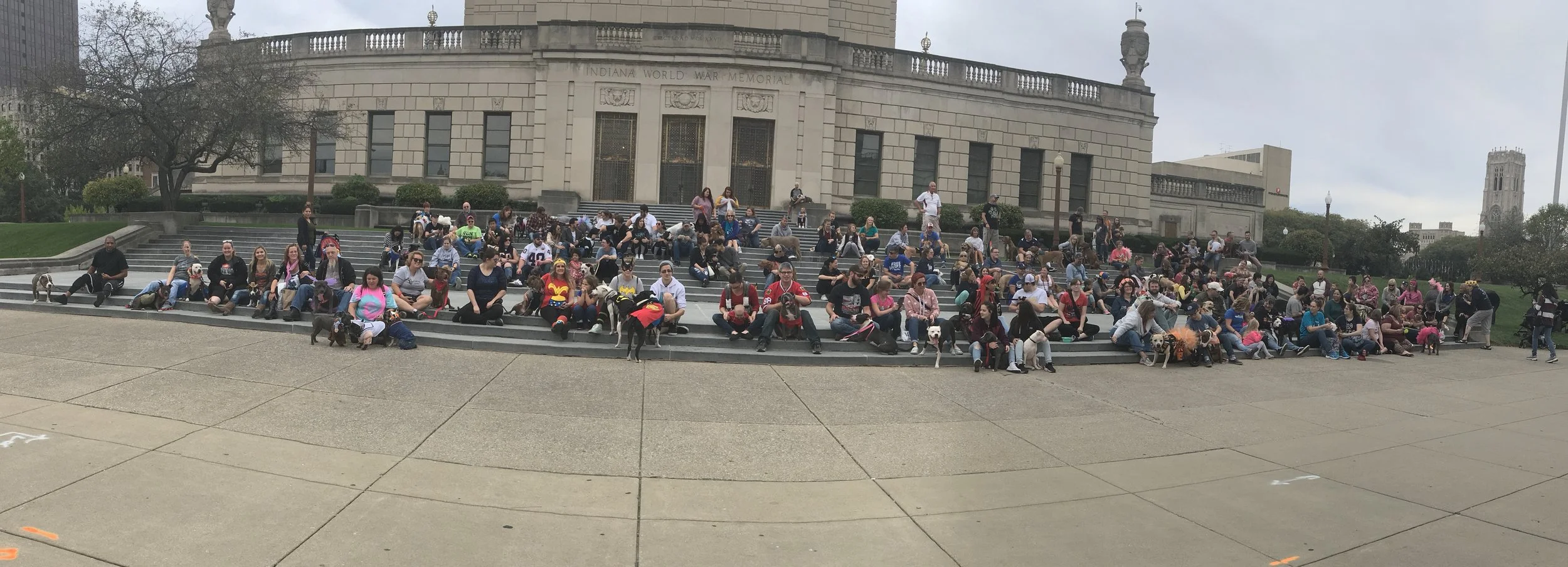 NPBAD March