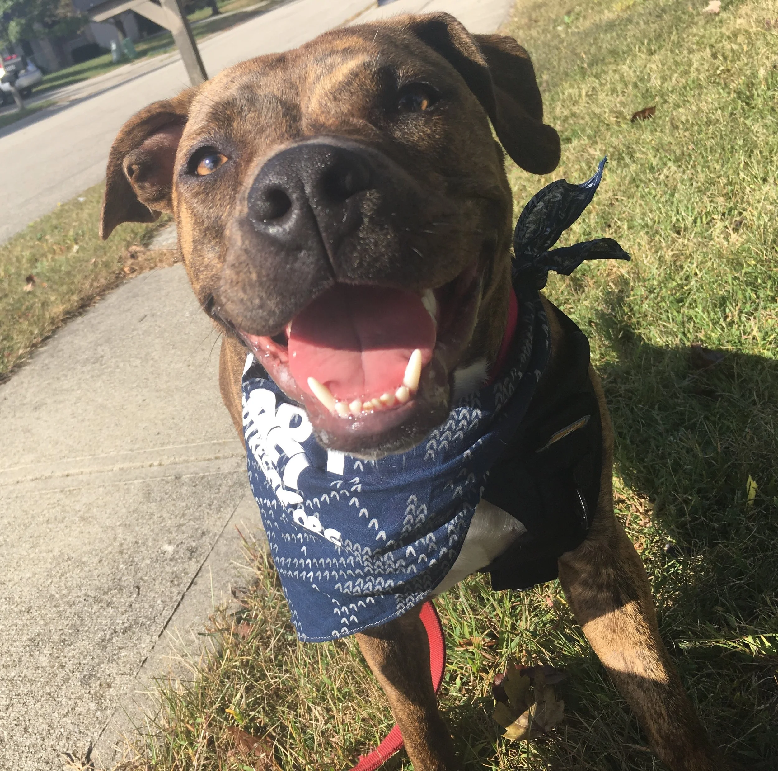 File Oct 04, 8 46 18 PM.jpeg