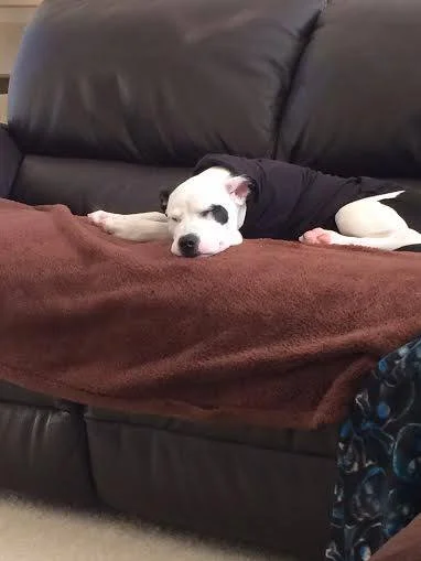 Angus update 020314a.jpg