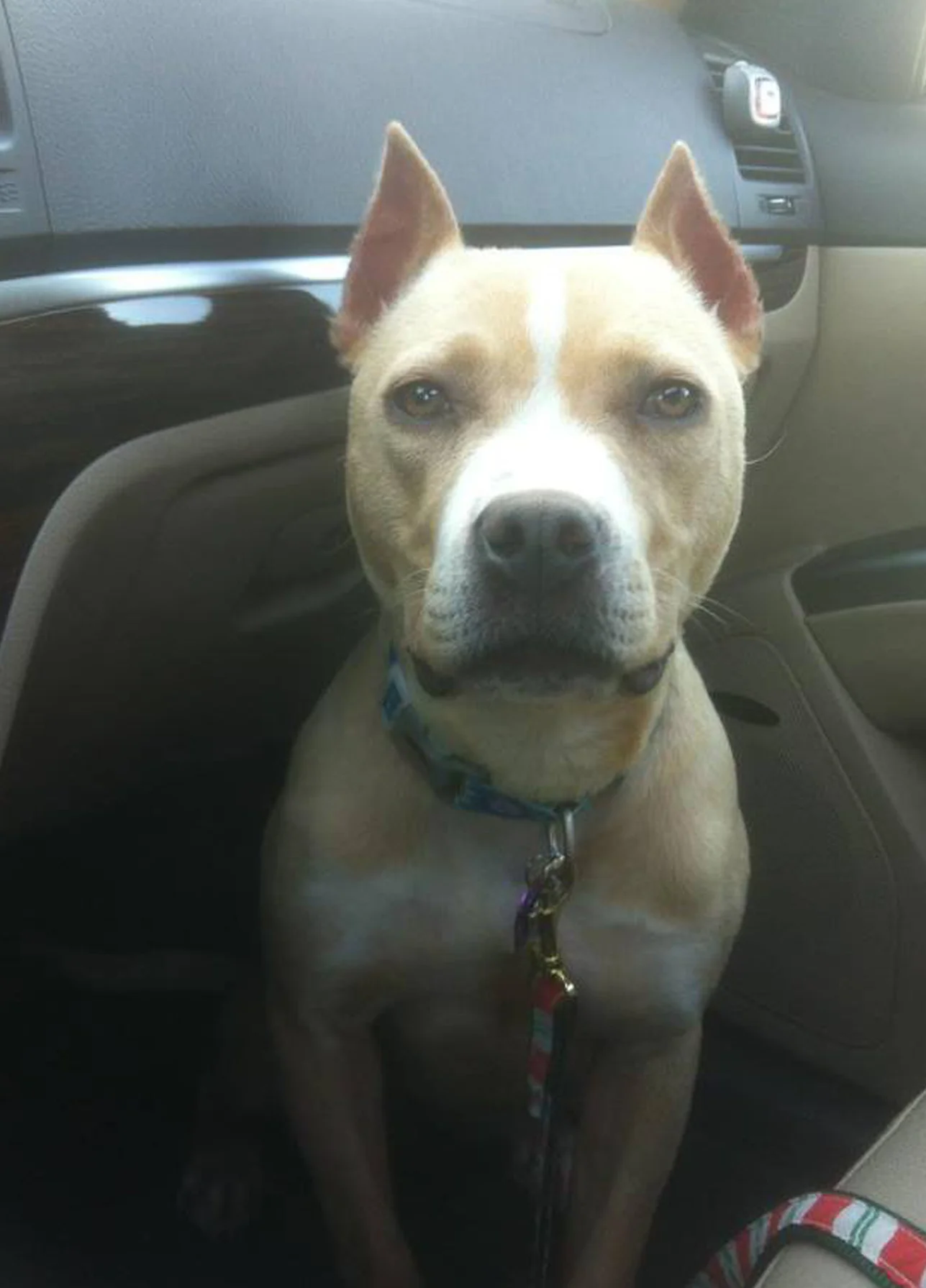 Nala car.jpg