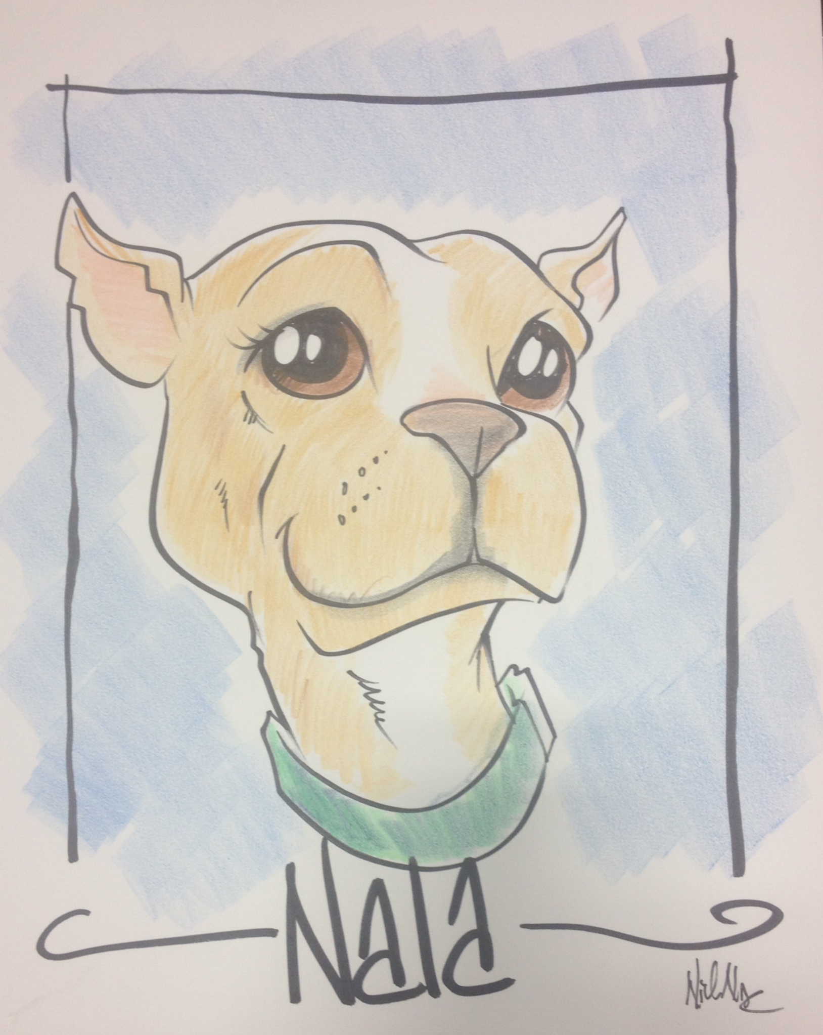 nala disney.jpg