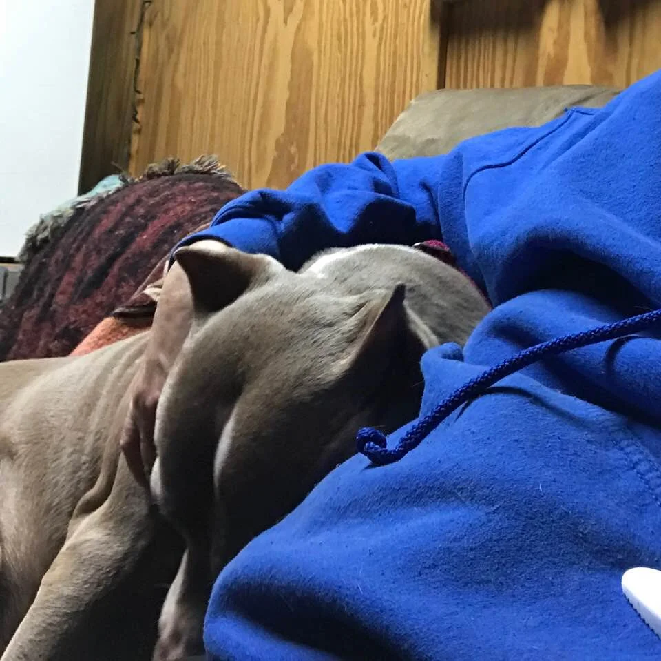 Sleep tight