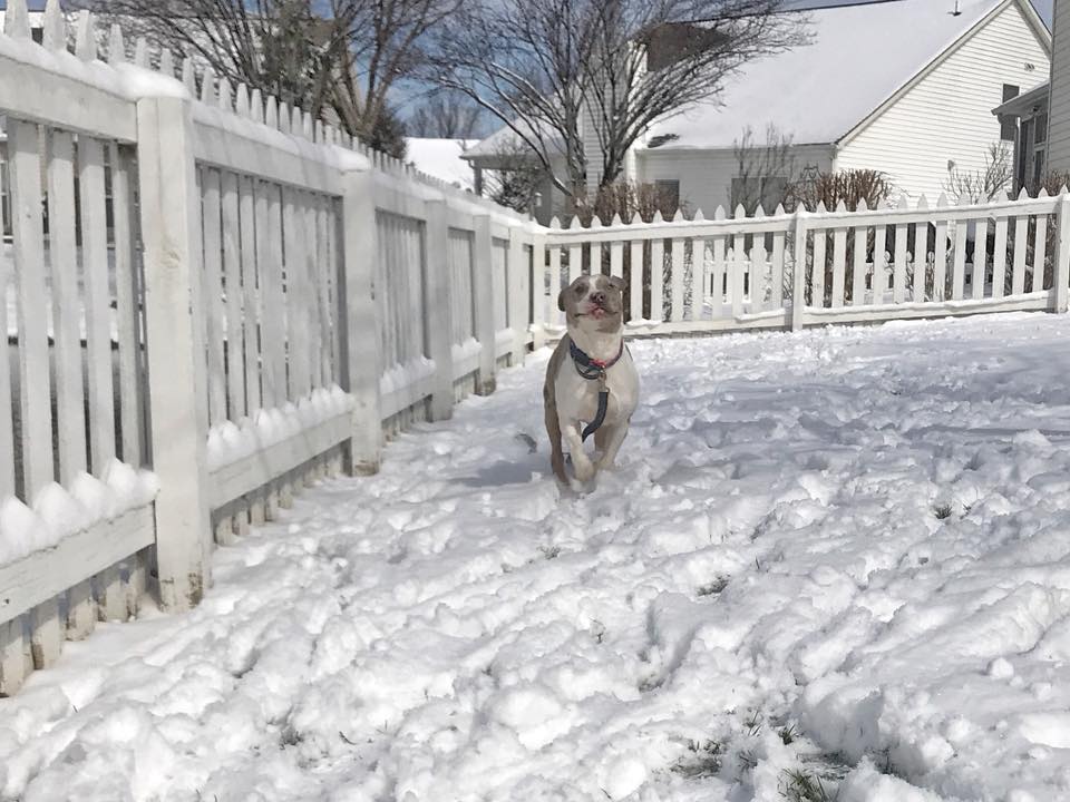 First snow frolic!