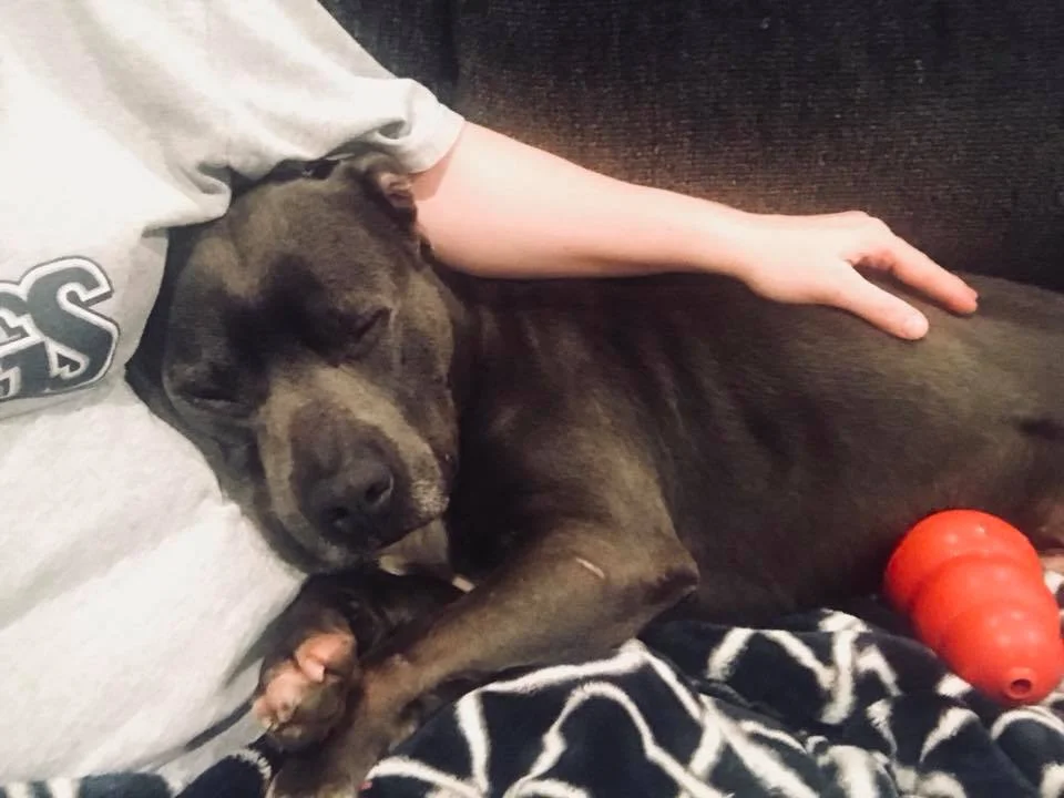 Cuddles are the best.