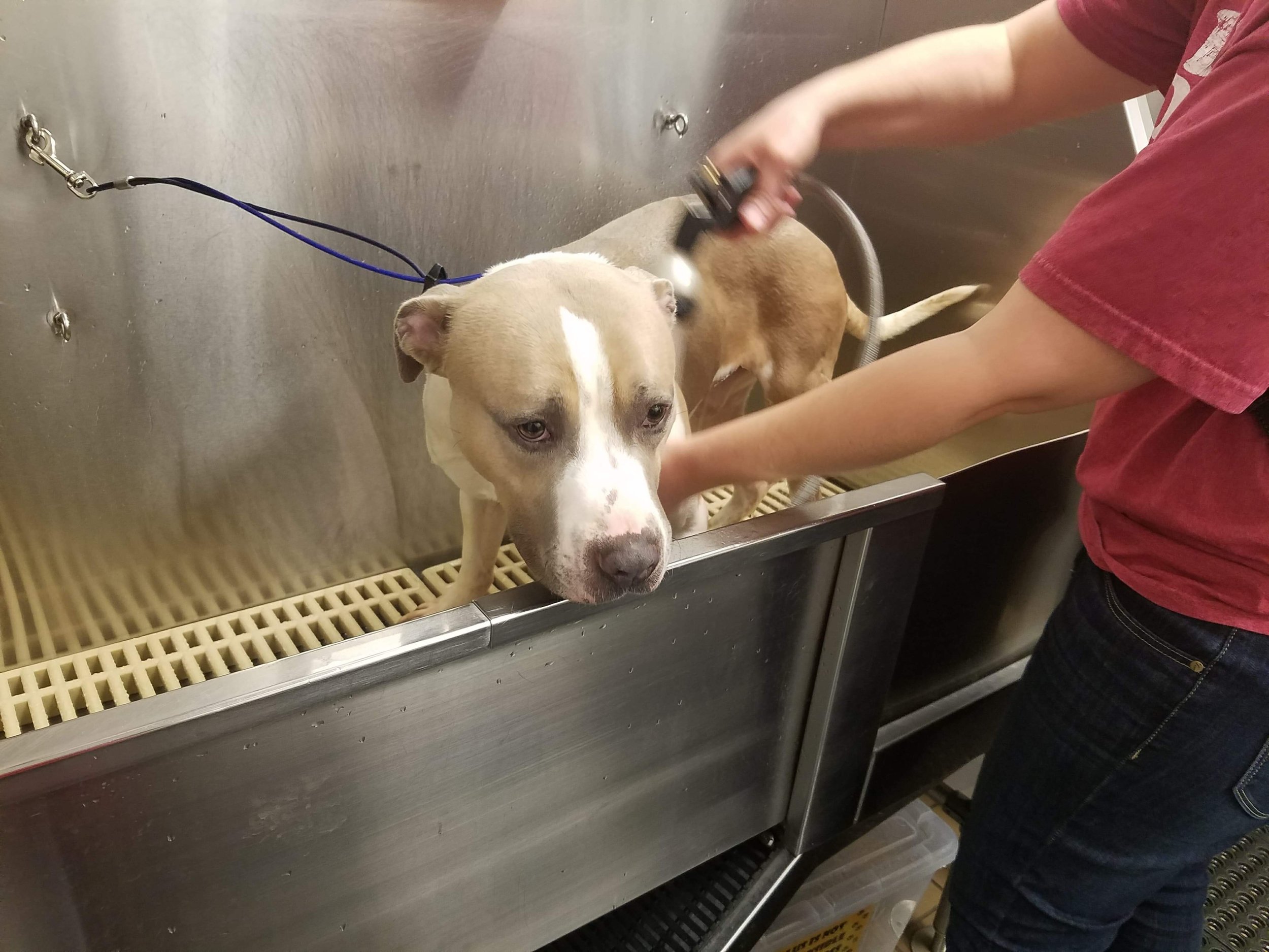 bath time