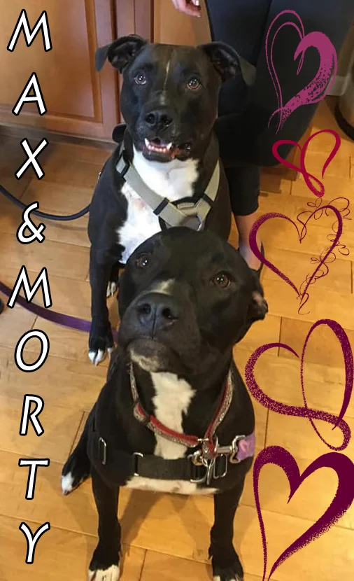 Morty and Max 061218.jpg