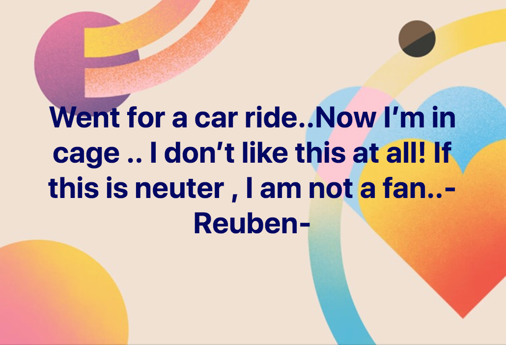 reuben neuter2.png