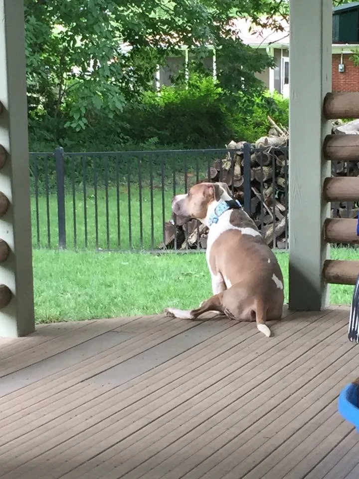 Porch sitting.jpg