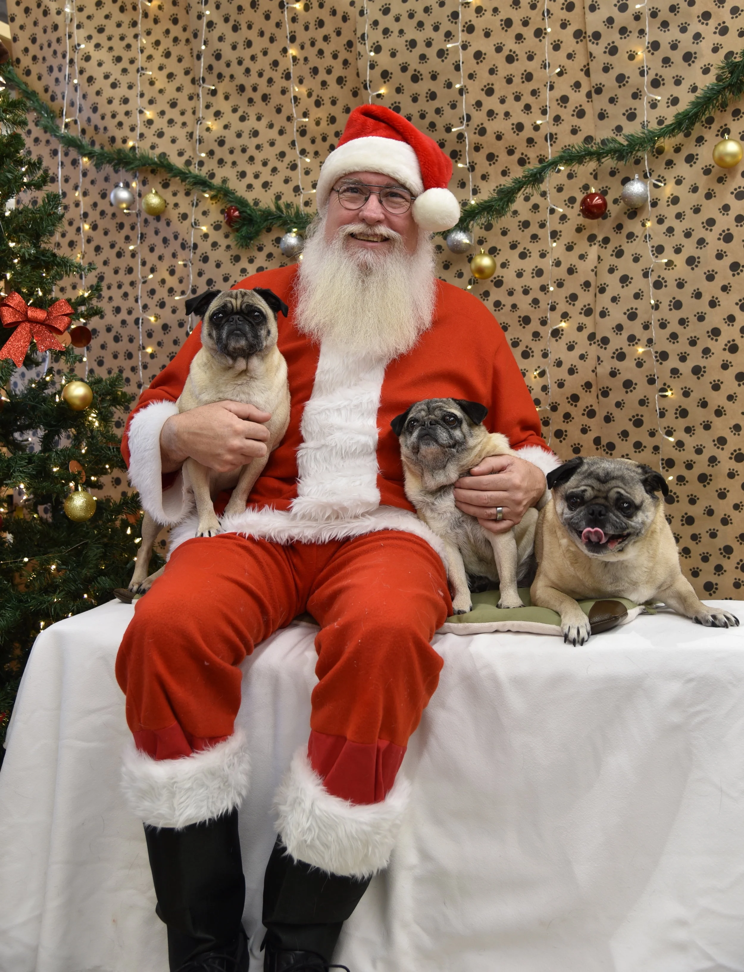 Pickles, Varla &amp; Effie 3