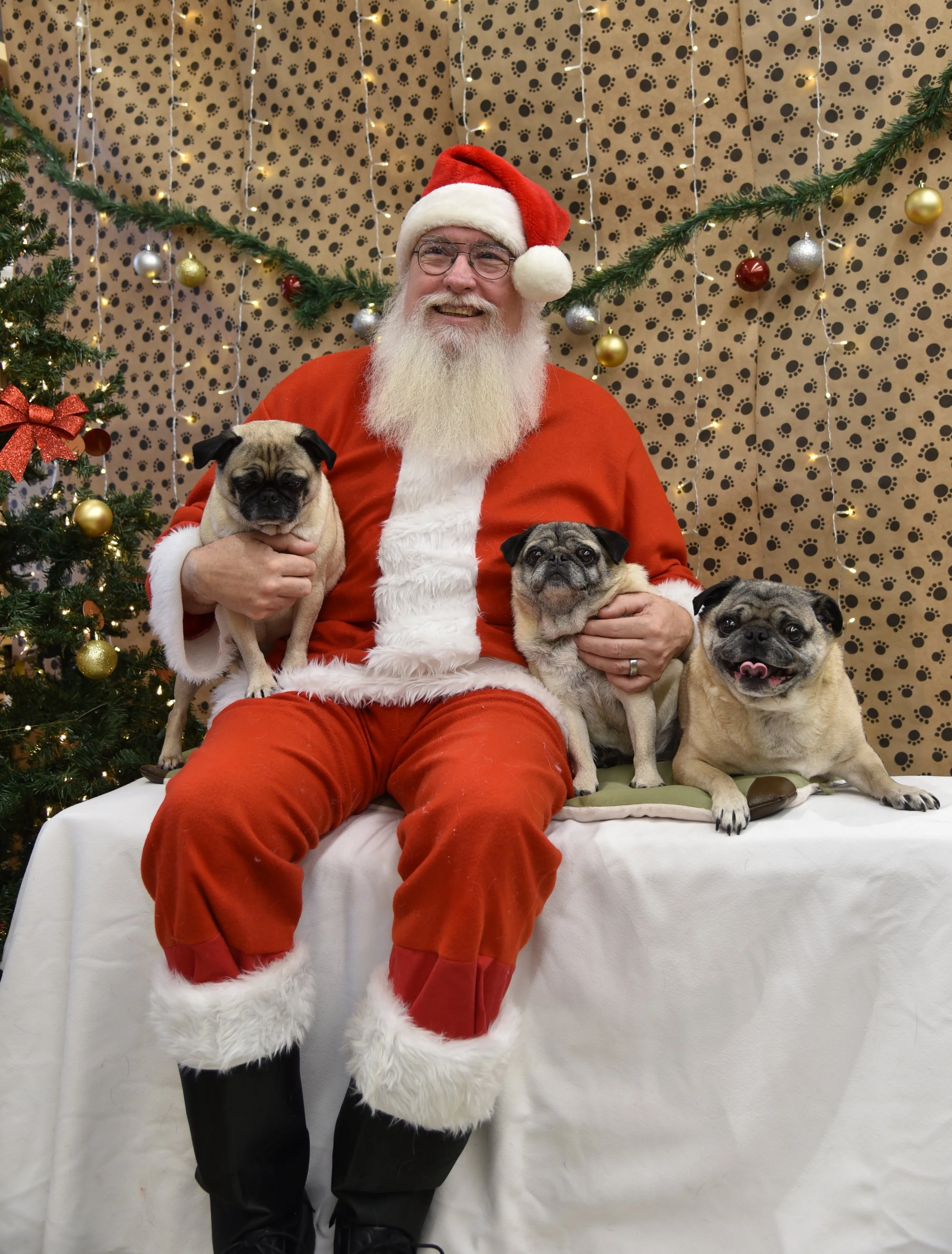 Pickles, Varla &amp; Effie 4