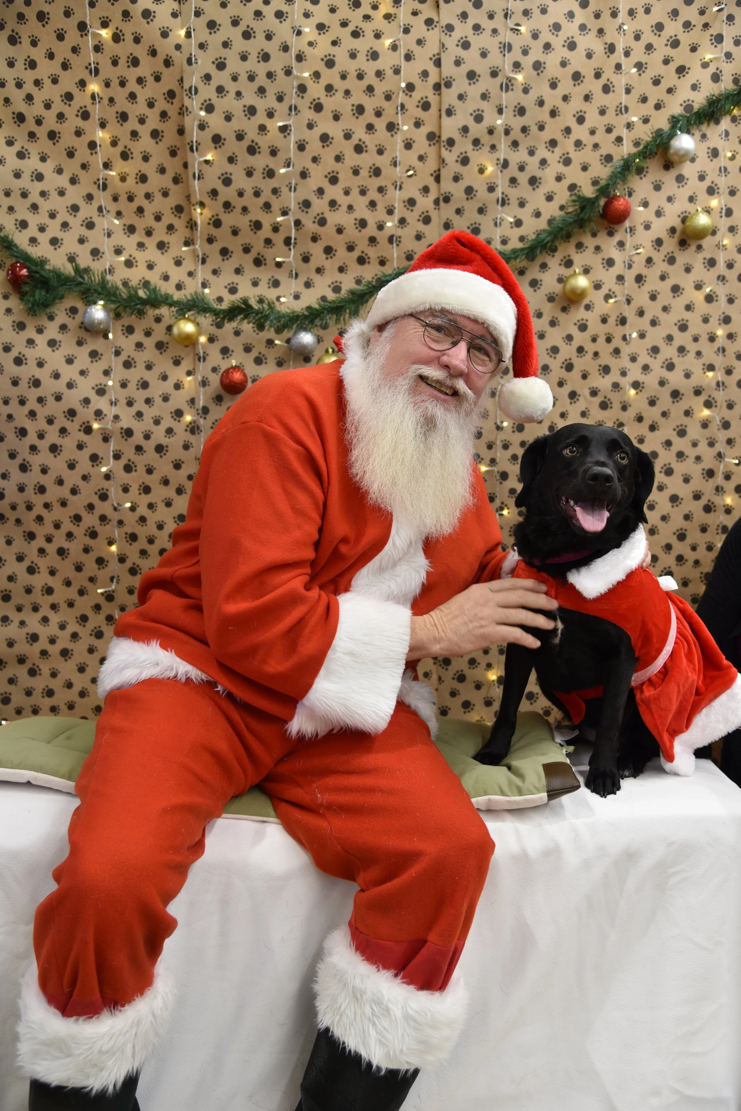 Santa's little helper 1