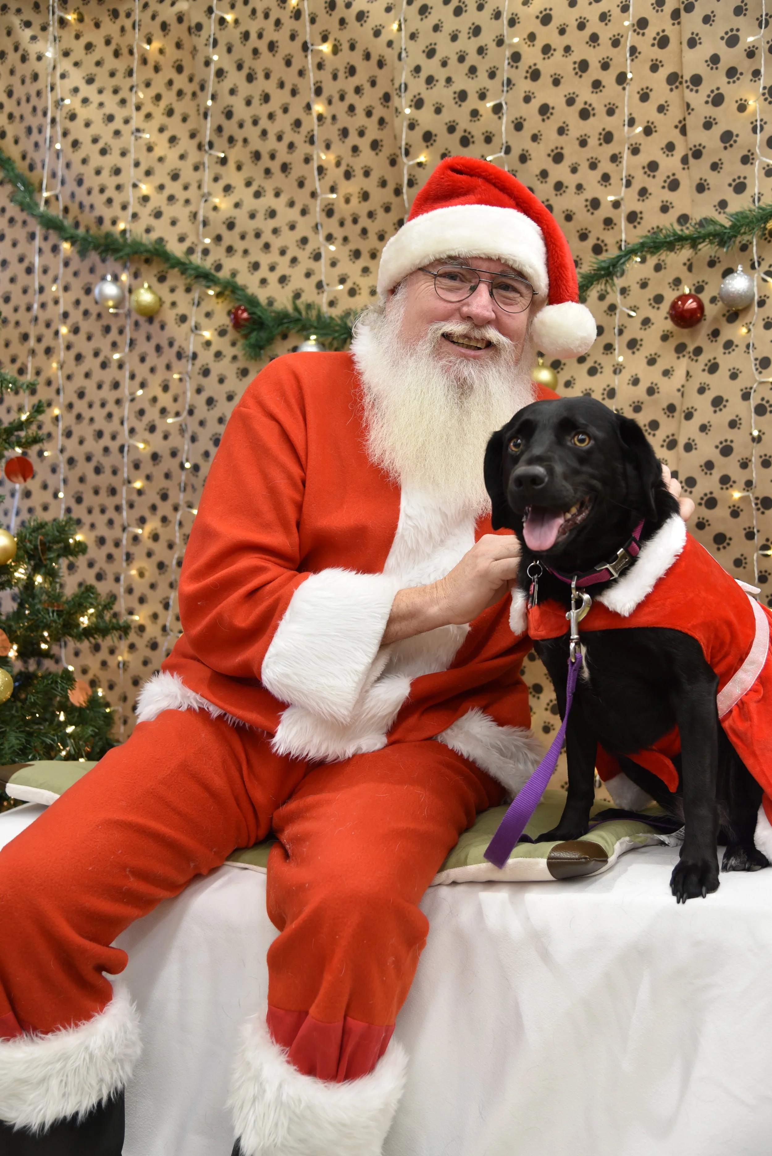 Santa's little helper 4