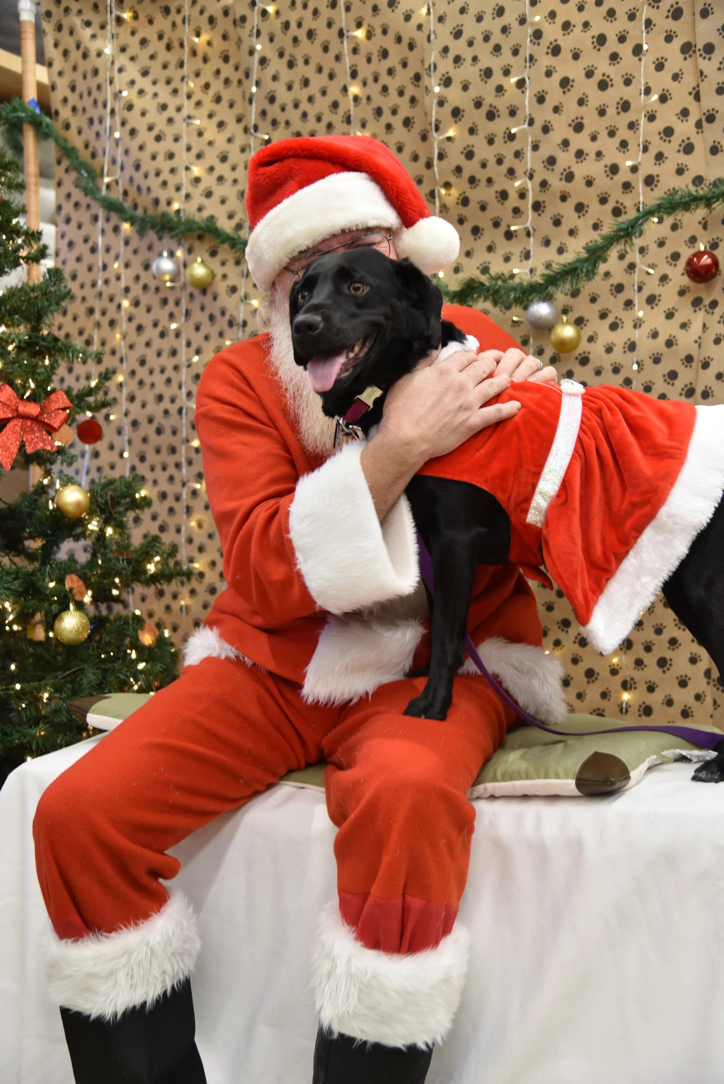 Santa's little helper 5