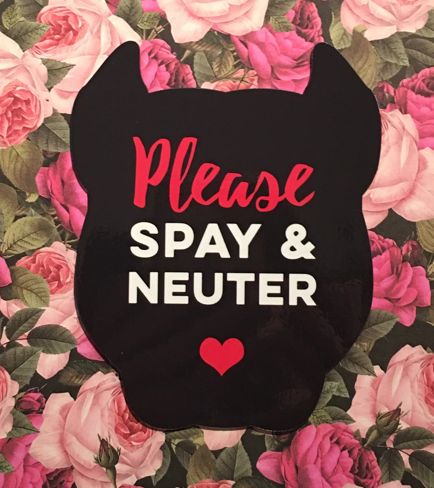 Spay/Neuter, Magnet