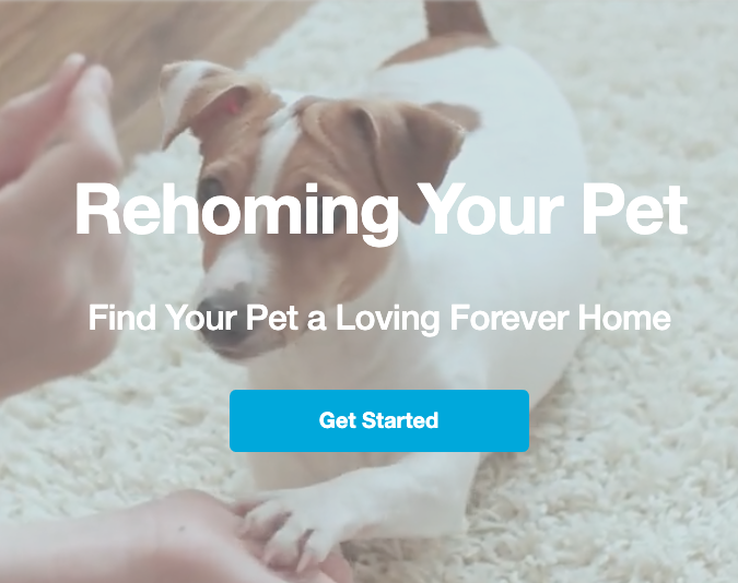 puppy rehoming