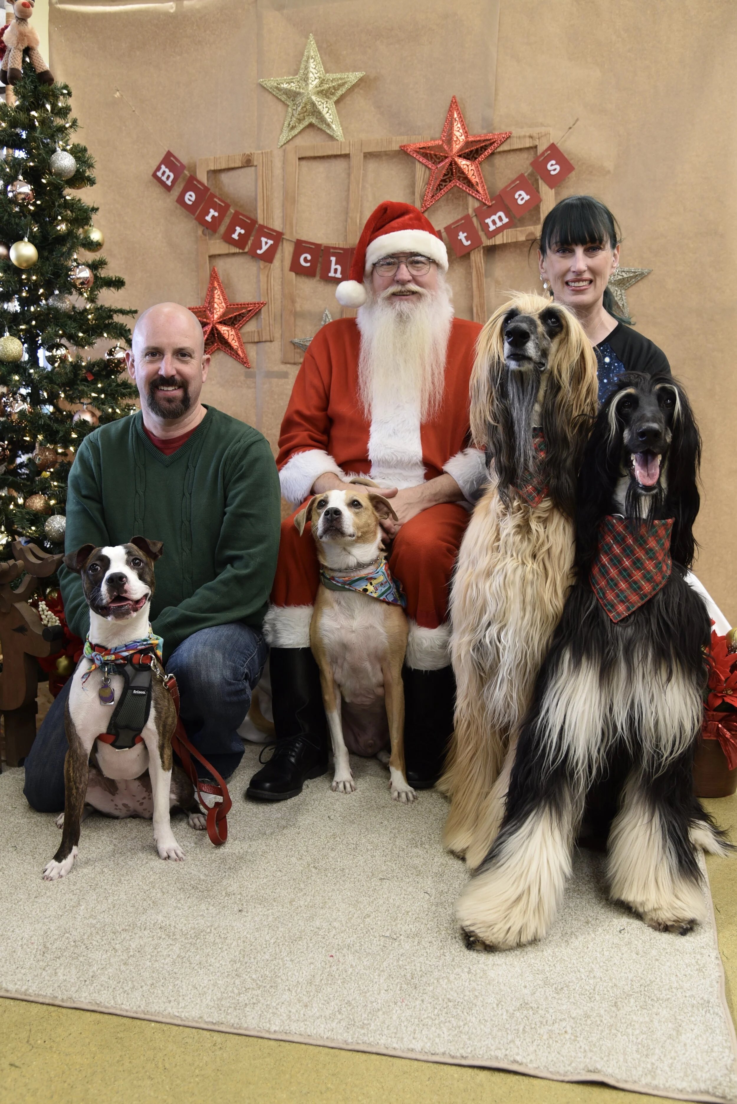 Vito, Ronan, Mari & Rootie