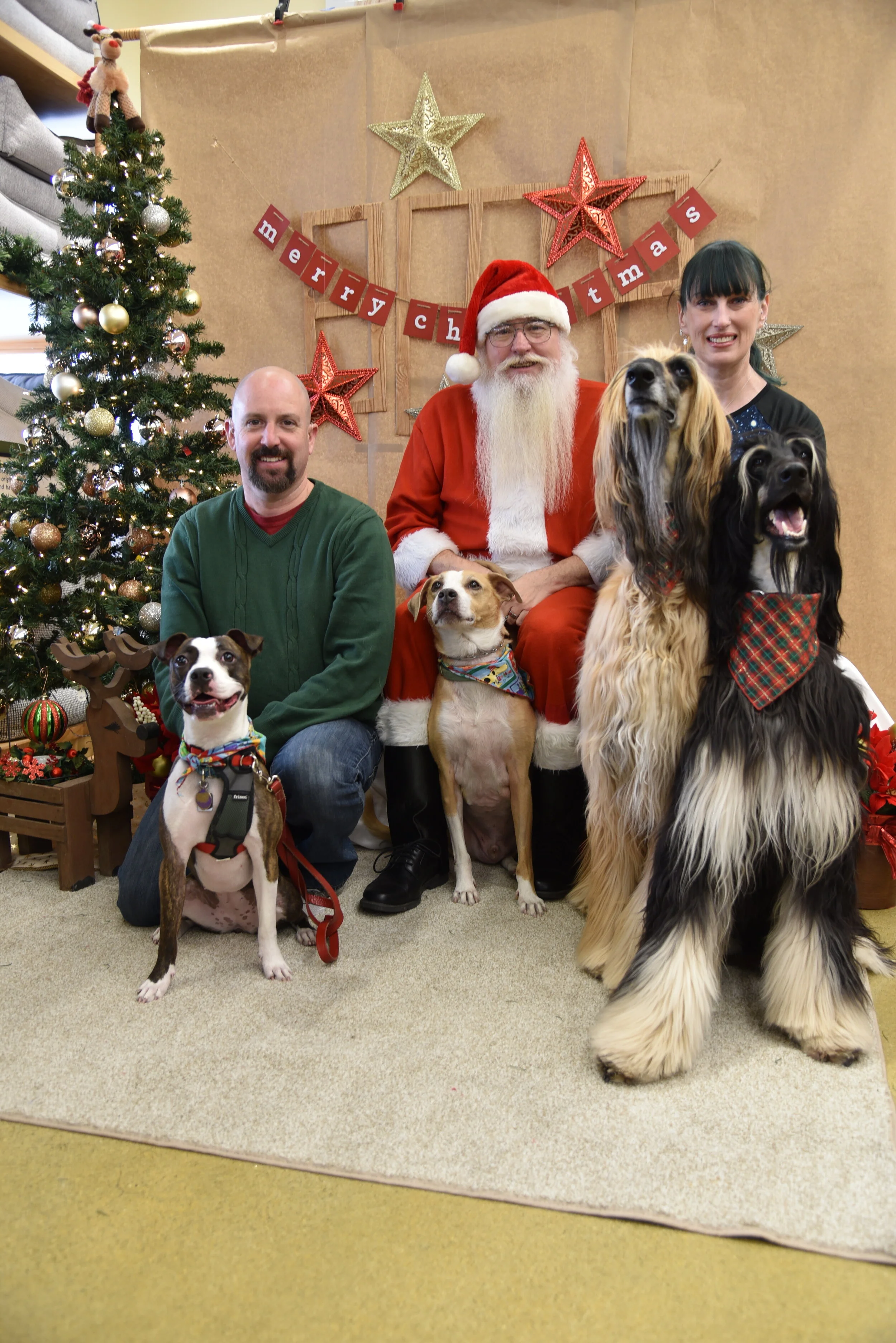 Vito, Ronan, Mari & Rootie