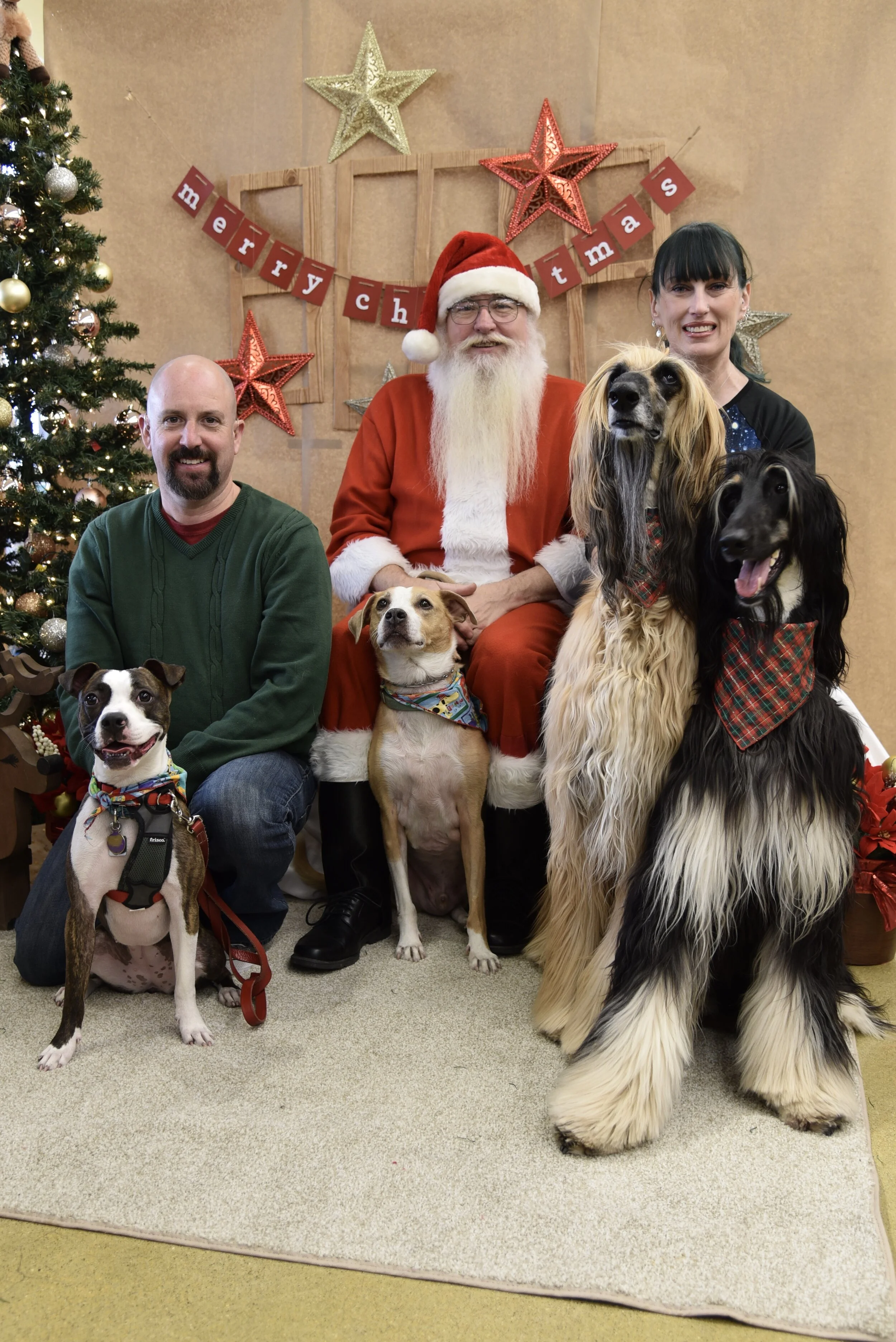 Vito, Ronan, Mari & Rootie