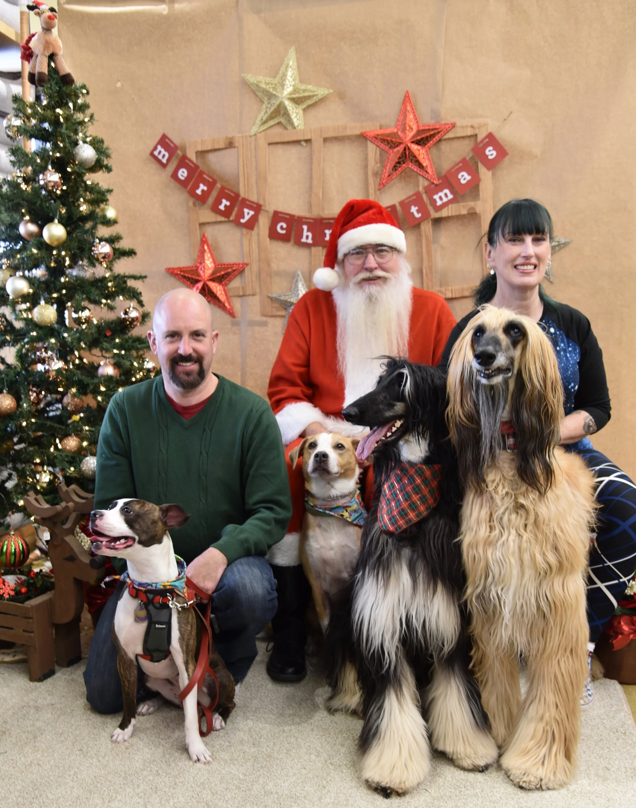 Vito, Ronan, Mari & Rootie