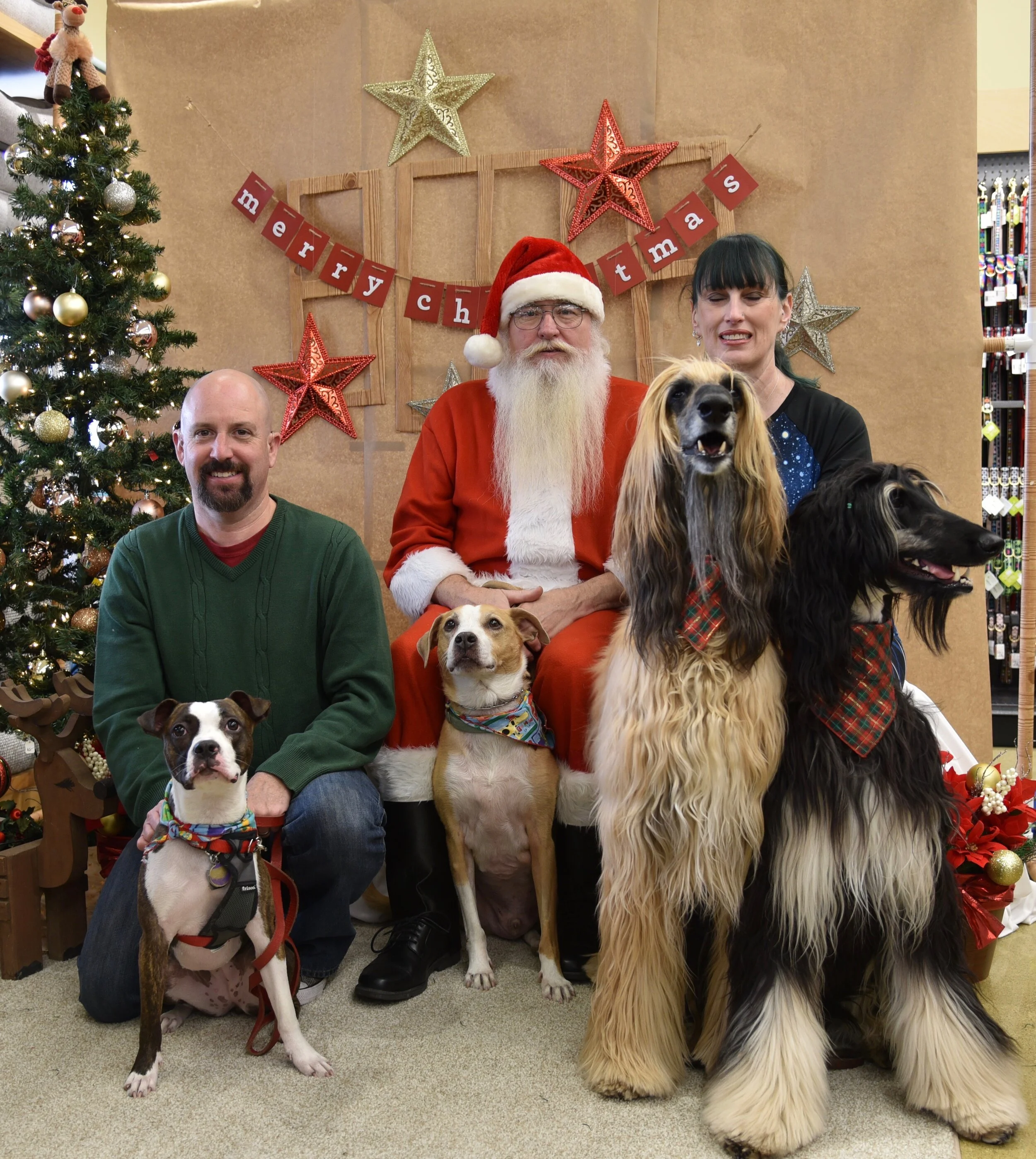 Vito, Ronan, Mari & Rootie