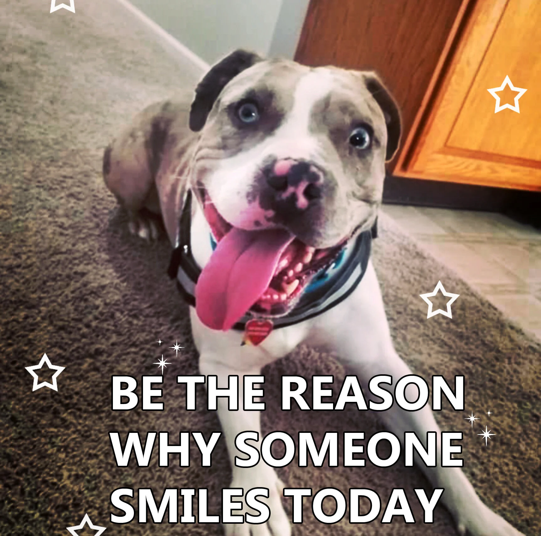 Bowie be the smile.JPG