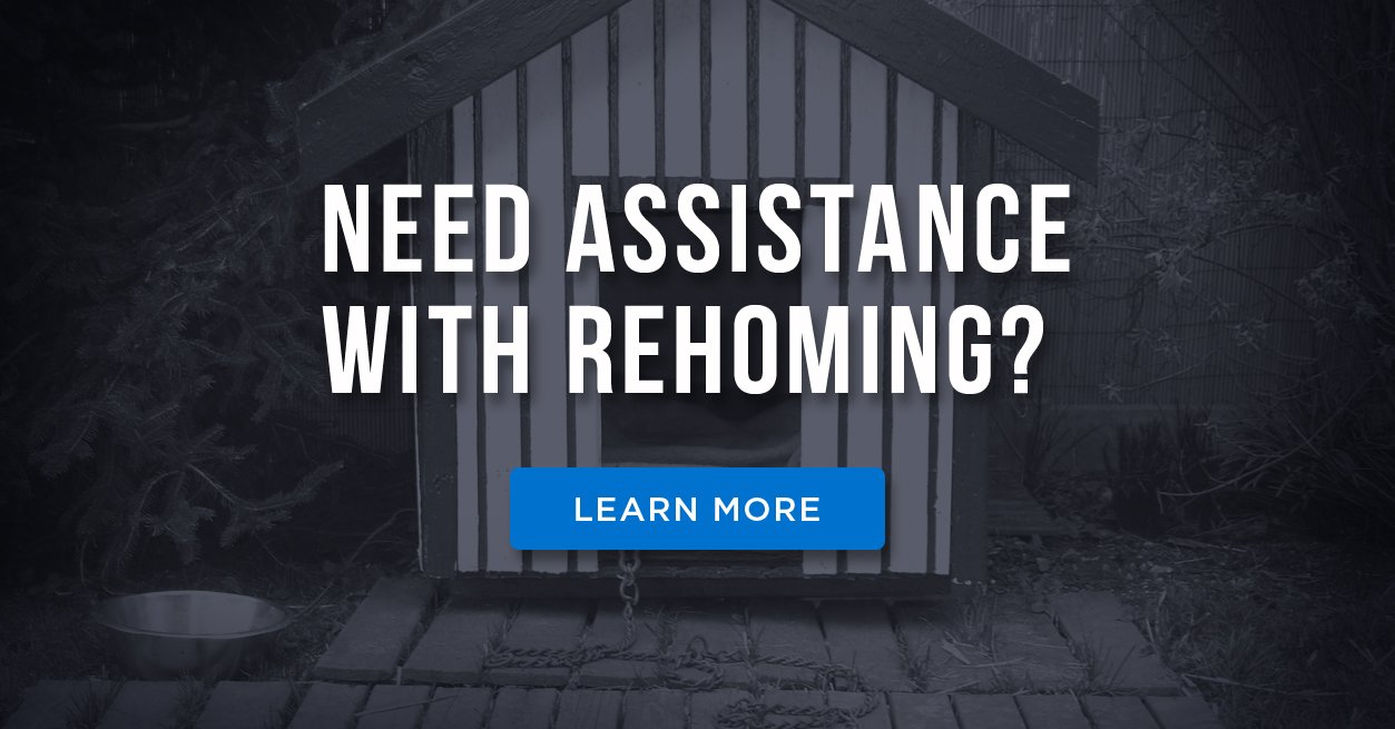Rehoming assistance
