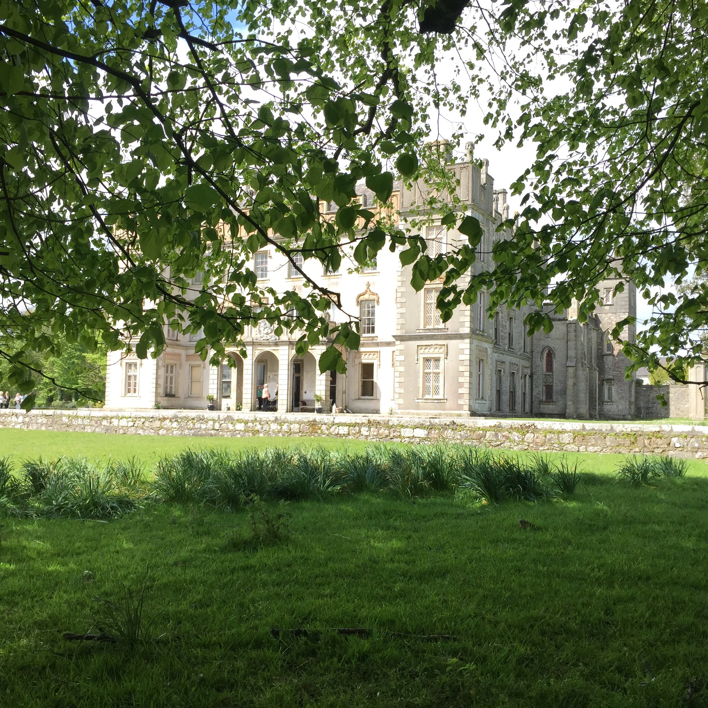 borris house.jpg