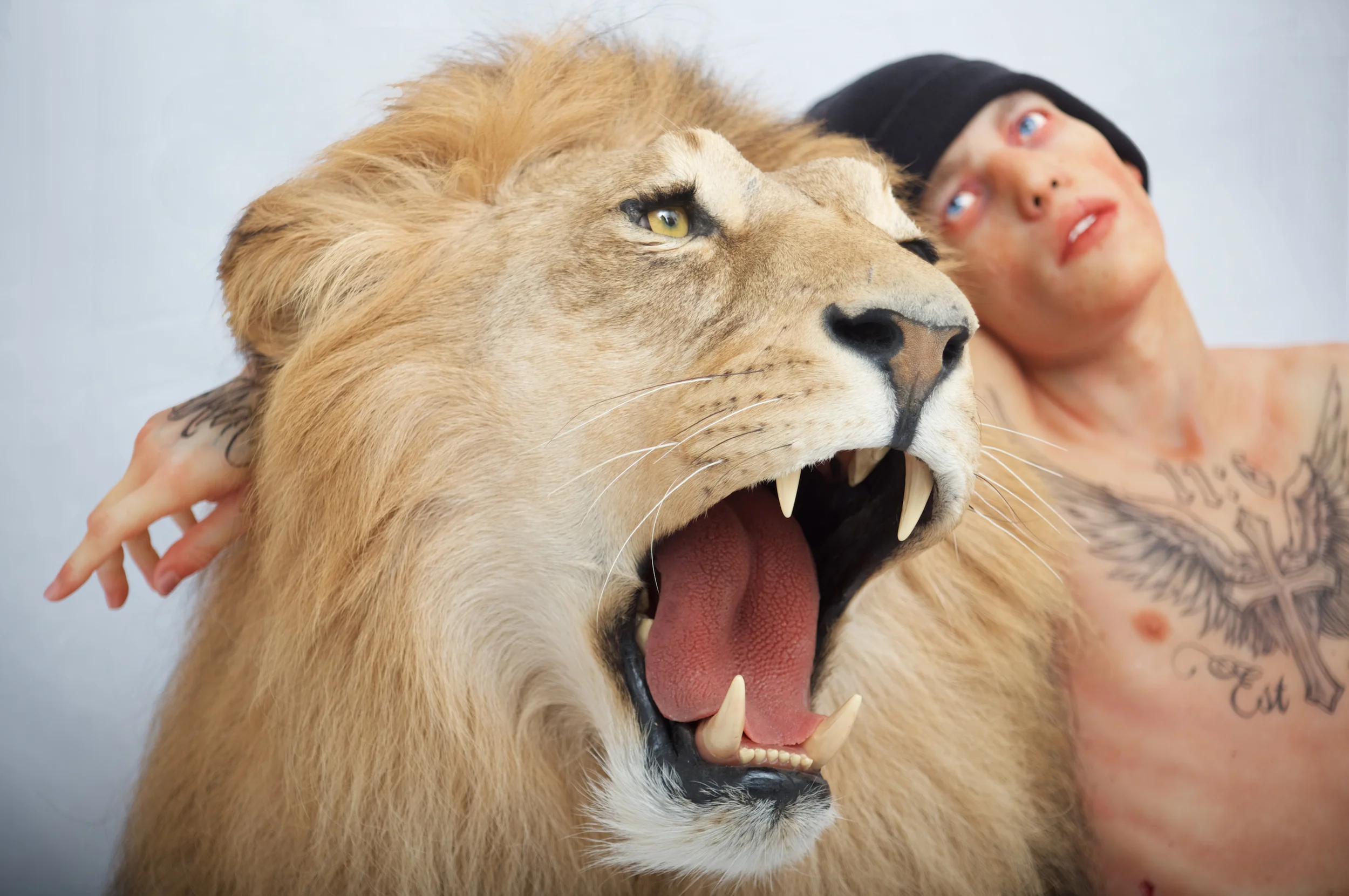 "RISE AND RISE AGAIN UNTIL LAMBS BECOME LIONS" (Detail)