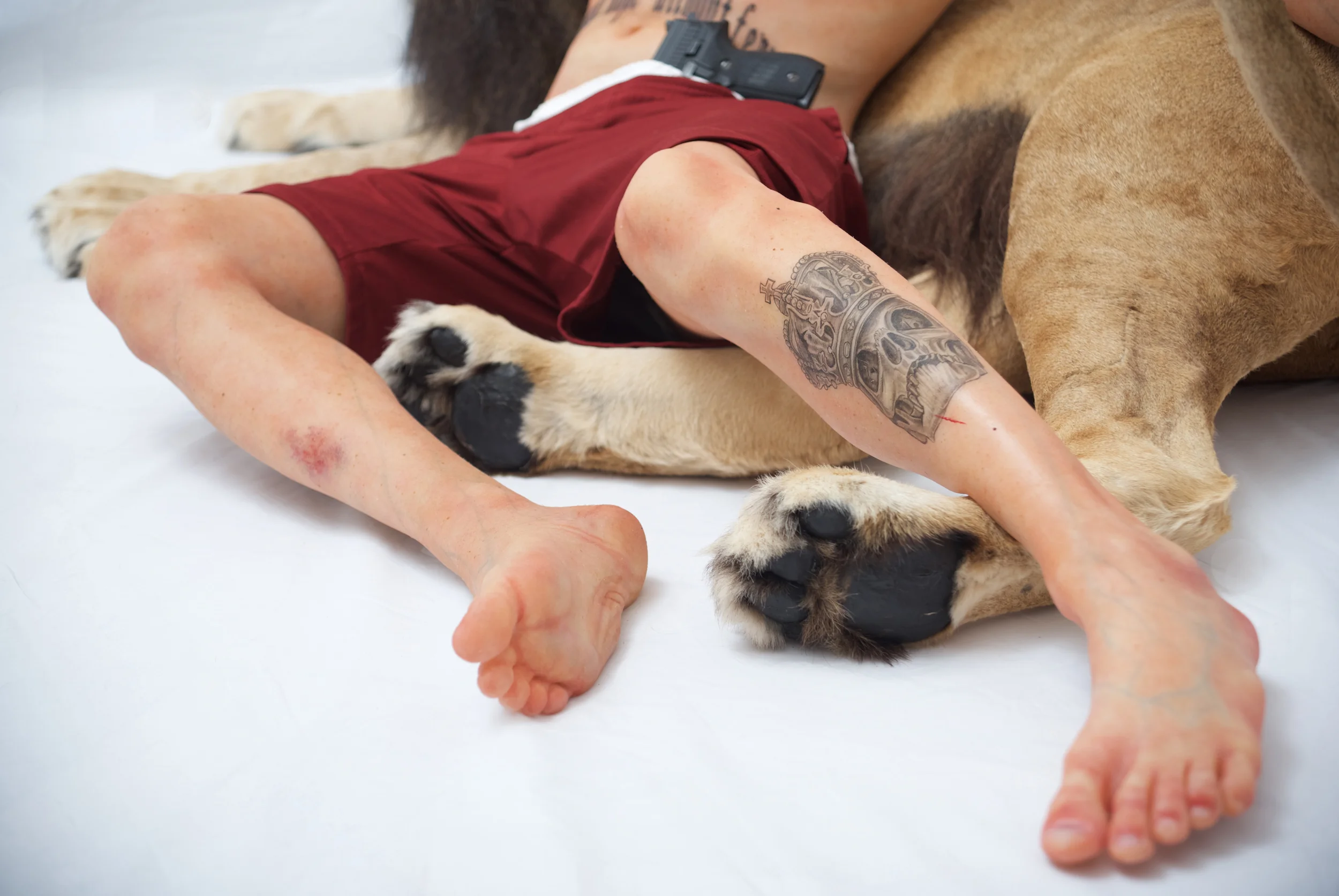 "RISE AND RISE AGAIN UNTIL LAMBS BECOME LIONS" (Detail)