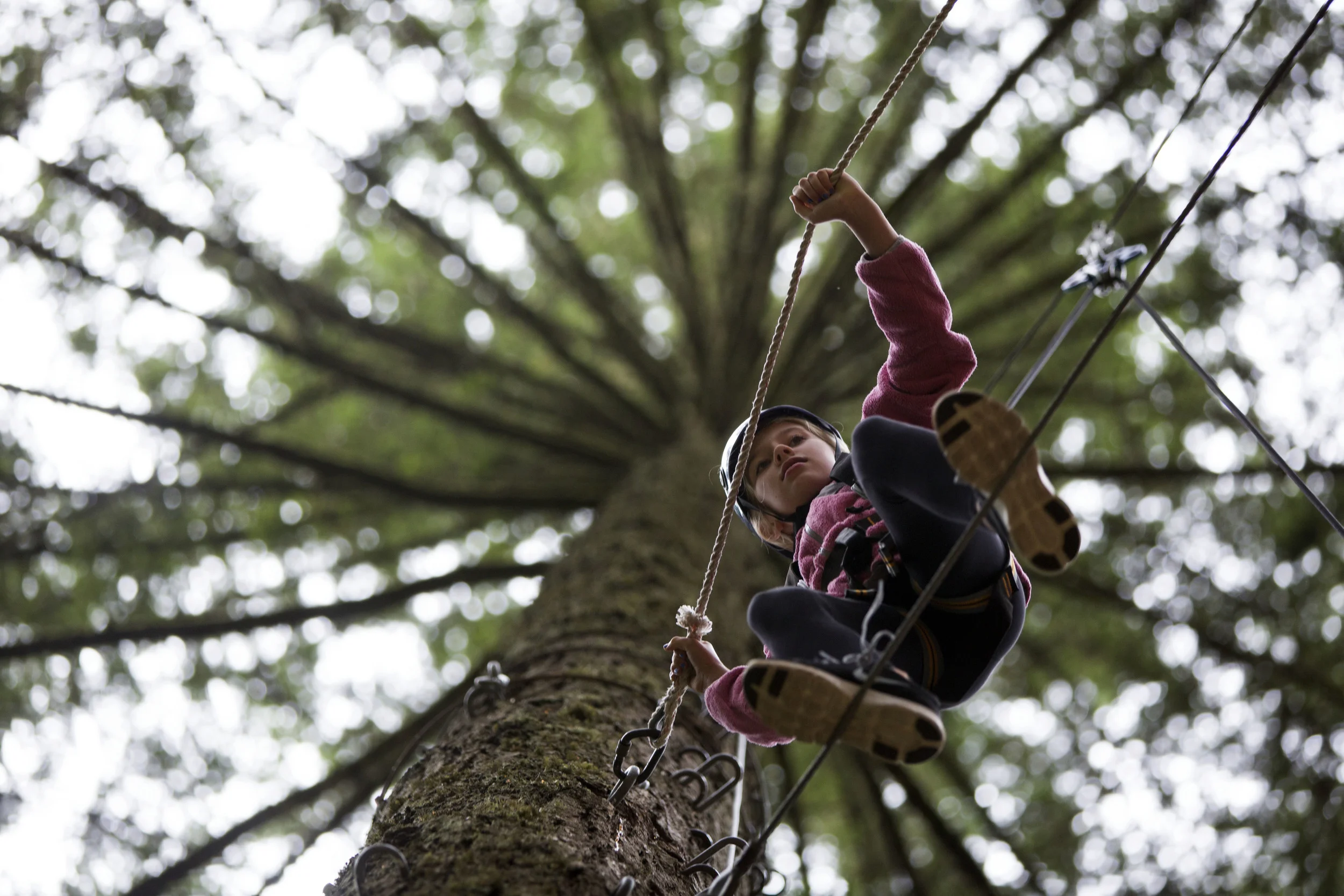  25 June 2014, Eugene, OR --&nbsp;Paige Mannila, 10, climbs across a high rope at the ropes course&nbsp;by the Spencer’s Butte trailhead during the Eugene Police Activities League Camp in Eugene. More than 100 participating youth formed teams led by 