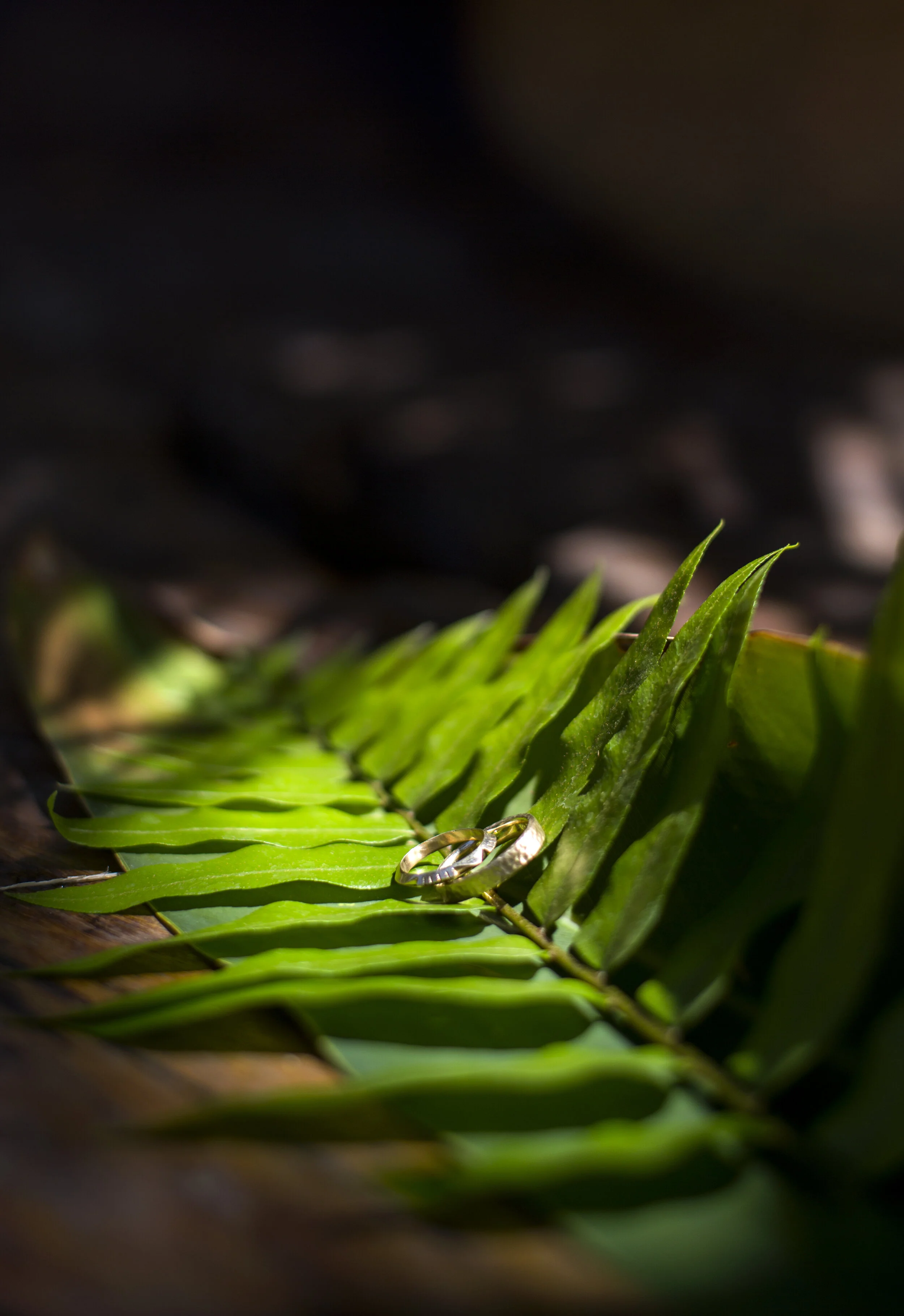 SayulitaWedding_022.JPG