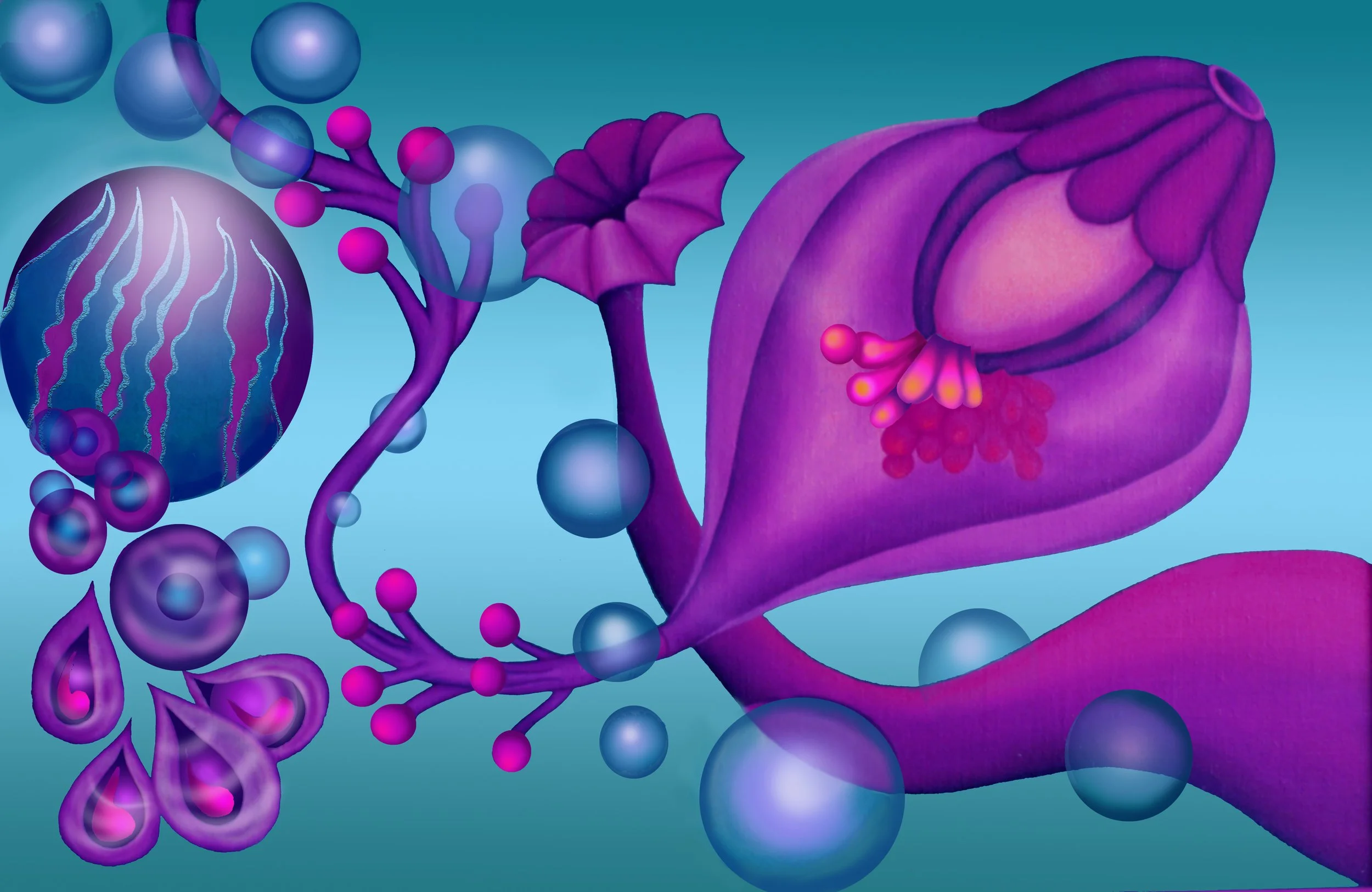 "Jolly Jellies 3"